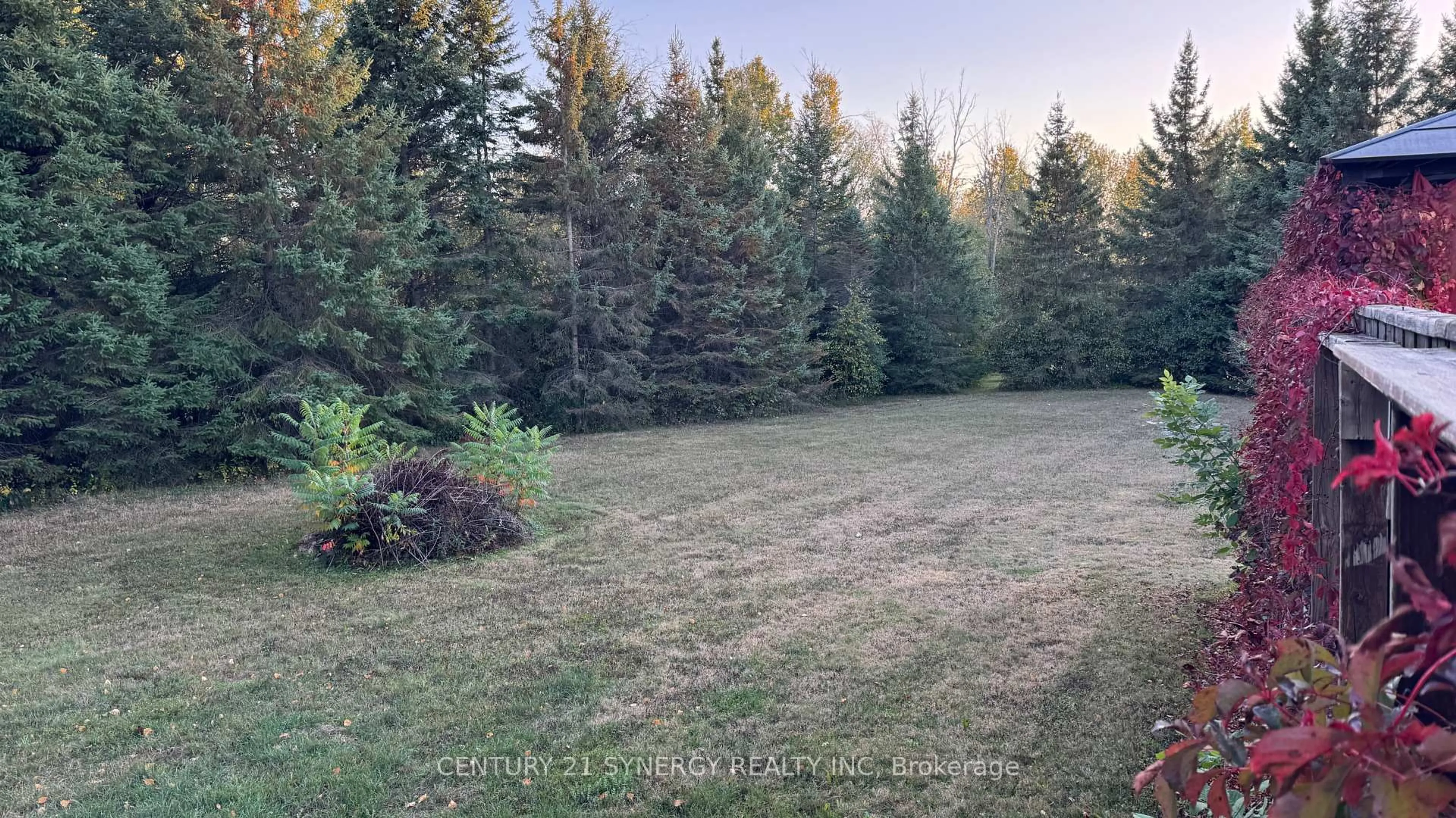 A pic from outside/outdoor area/front of a property/back of a property/a pic from drone, forest/trees view for 3042 Dangerfield Rd, North Grenville Ontario K0G 1J0