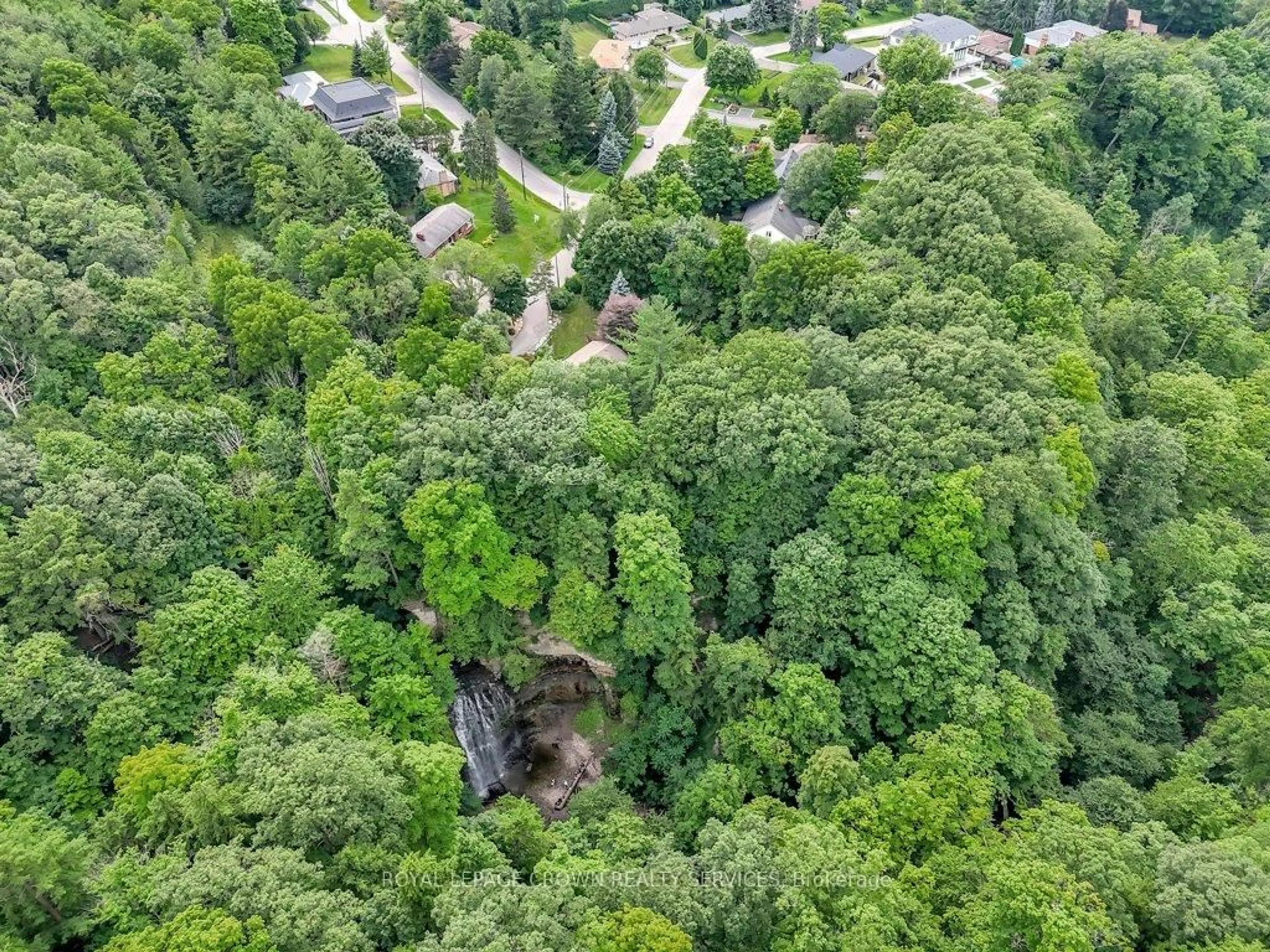A pic from outside/outdoor area/front of a property/back of a property/a pic from drone, forest/trees view for 931 Montgomery Dr, Hamilton Ontario L9G 3H6