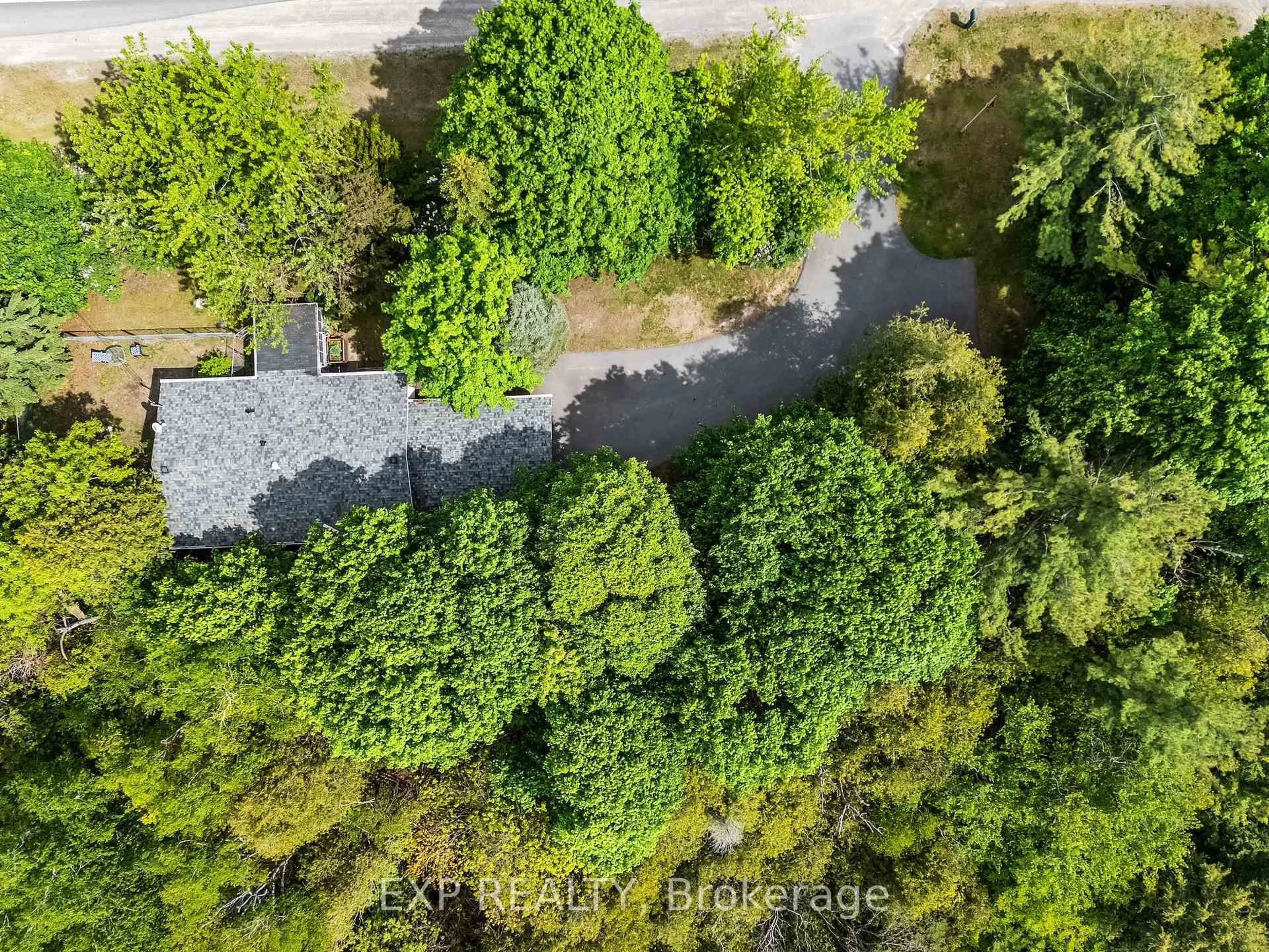 A pic from outside/outdoor area/front of a property/back of a property/a pic from drone, forest/trees view for 4558 County Road 45, Hamilton Township Ontario K9A 4J9
