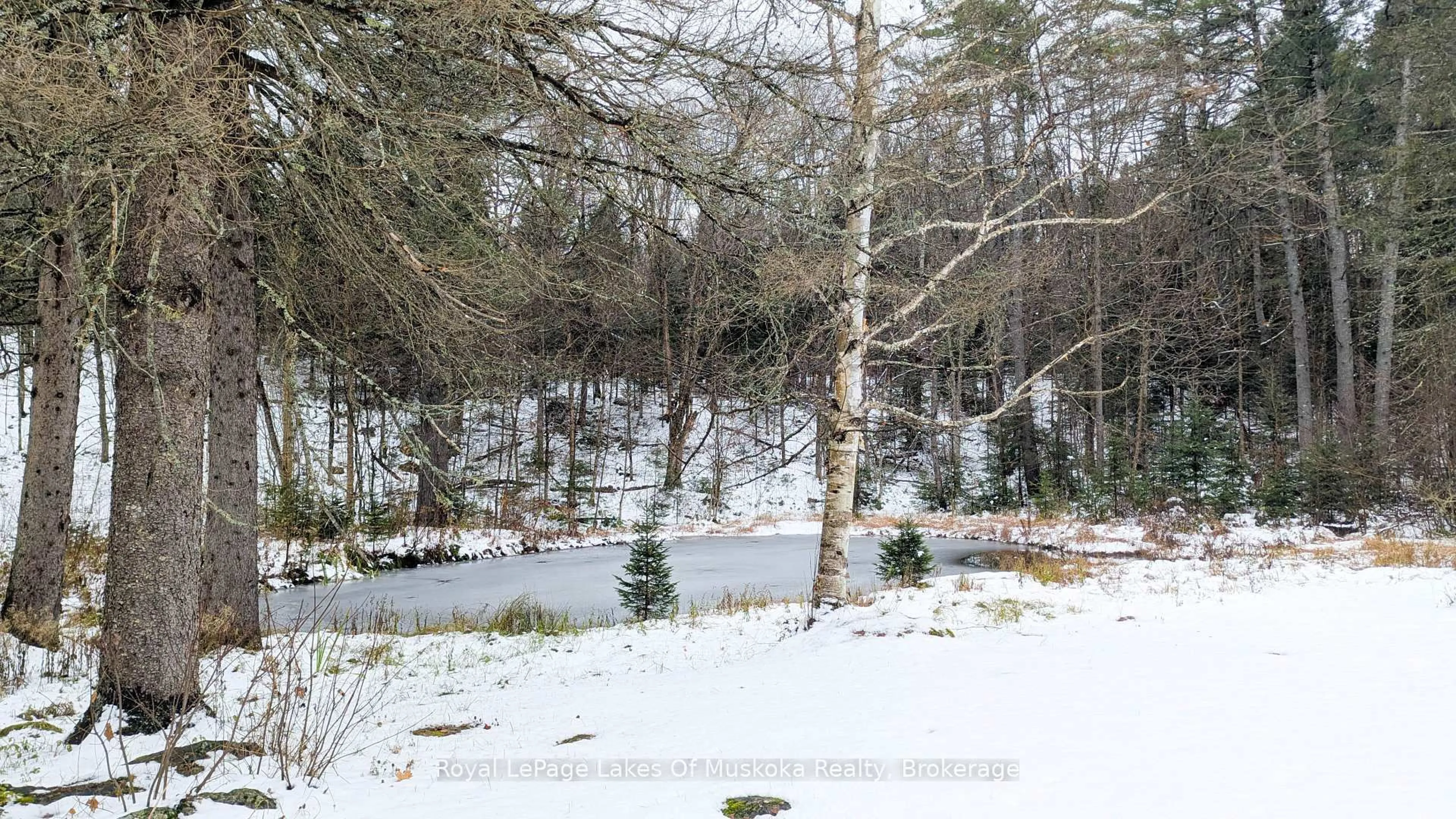 Blurry image for 2551 Yearley Rd, Huntsville Ontario P0B 1M0