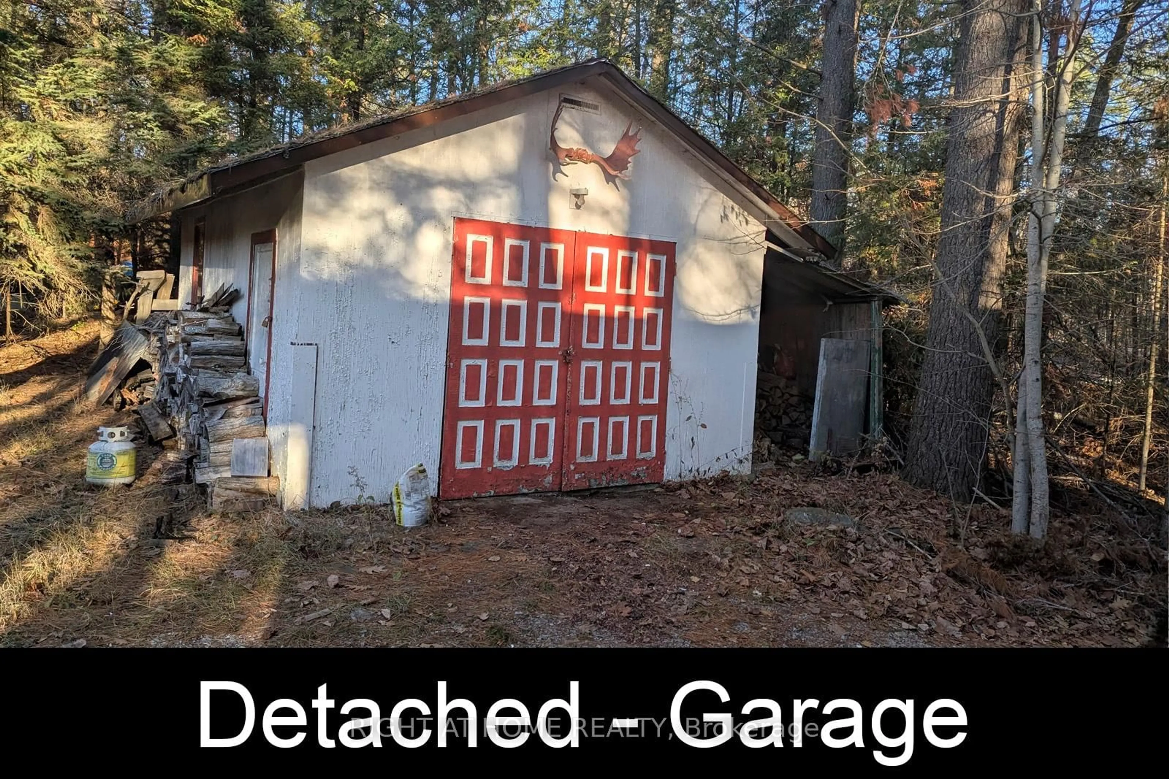 Shed for 2 Anne Dr, Trent Lakes Ontario K0M 2A0