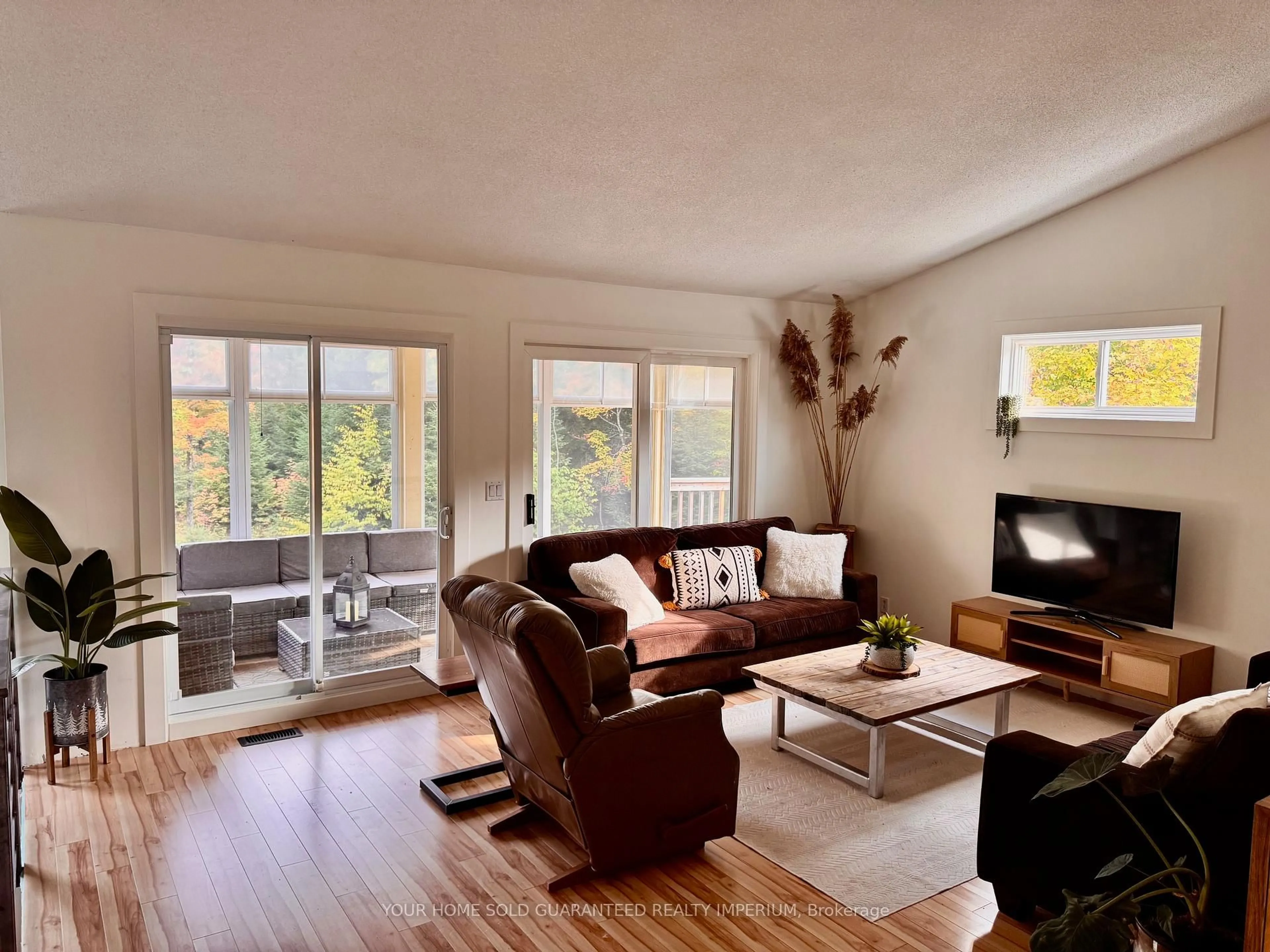 Living room with furniture, wood/laminate floor for 1603 BALMER Rd, North Kawartha Ontario K0L 1A0