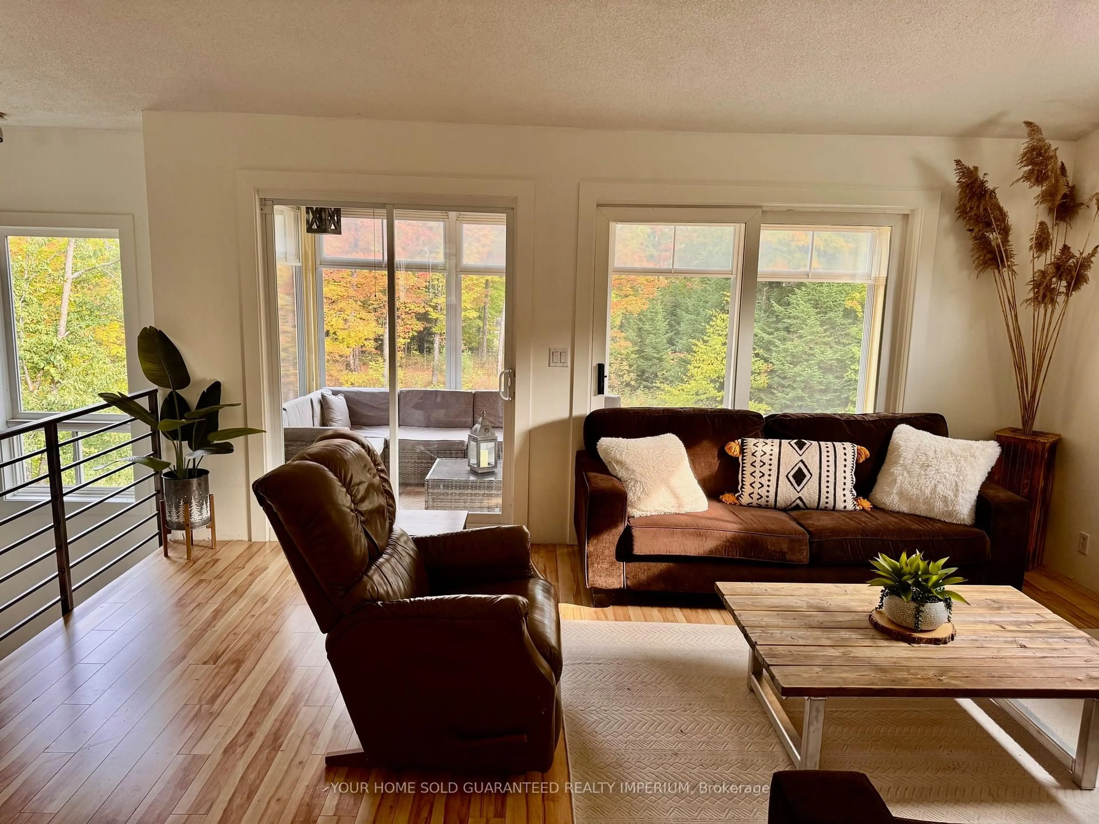 Living room with furniture, wood/laminate floor for 1603 BALMER Rd, North Kawartha Ontario K0L 1A0