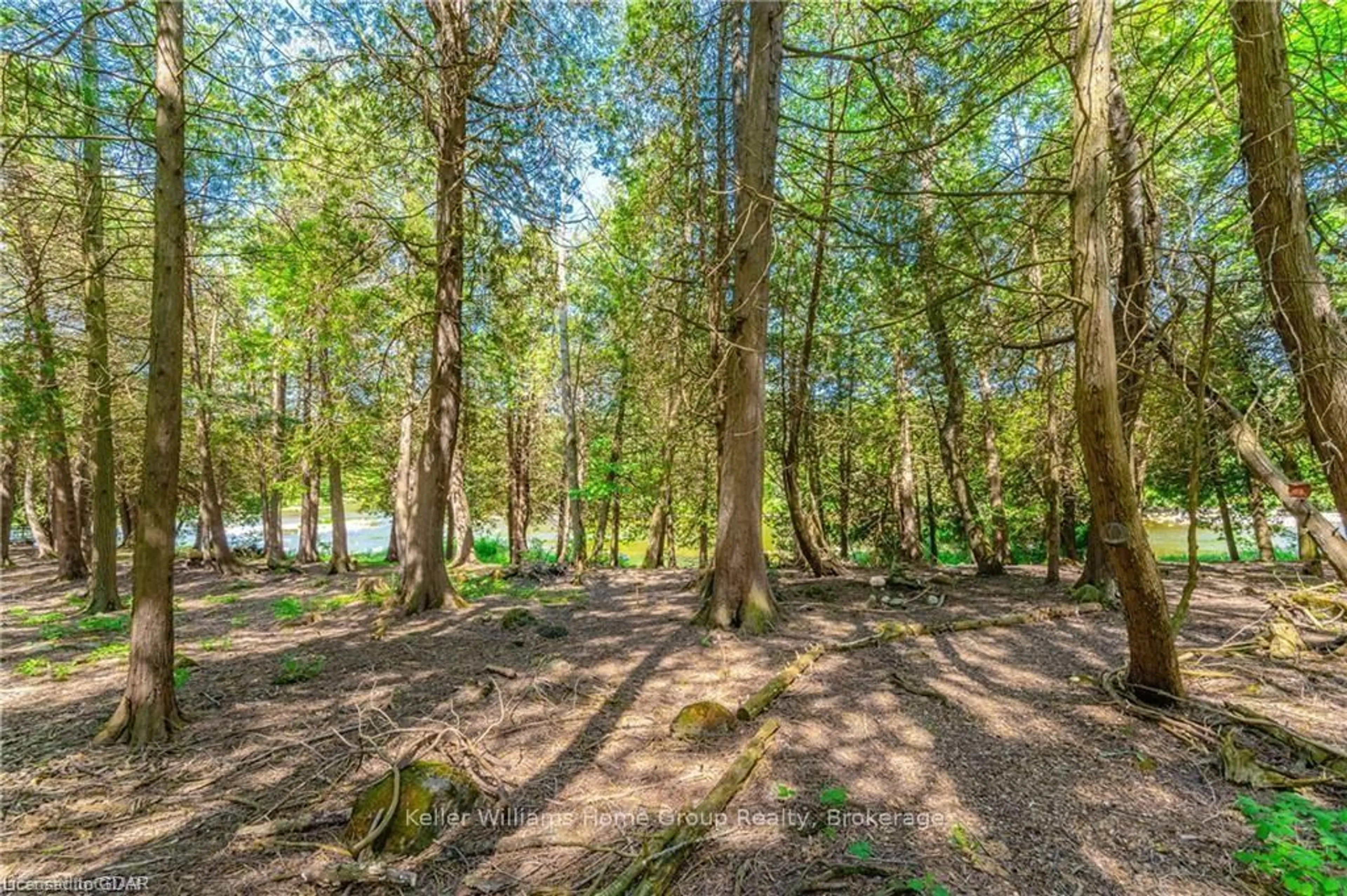 A pic from outside/outdoor area/front of a property/back of a property/a pic from drone, forest/trees view for 8218 Wellington Rd 18, Centre Wellington Ontario N1M 2W5