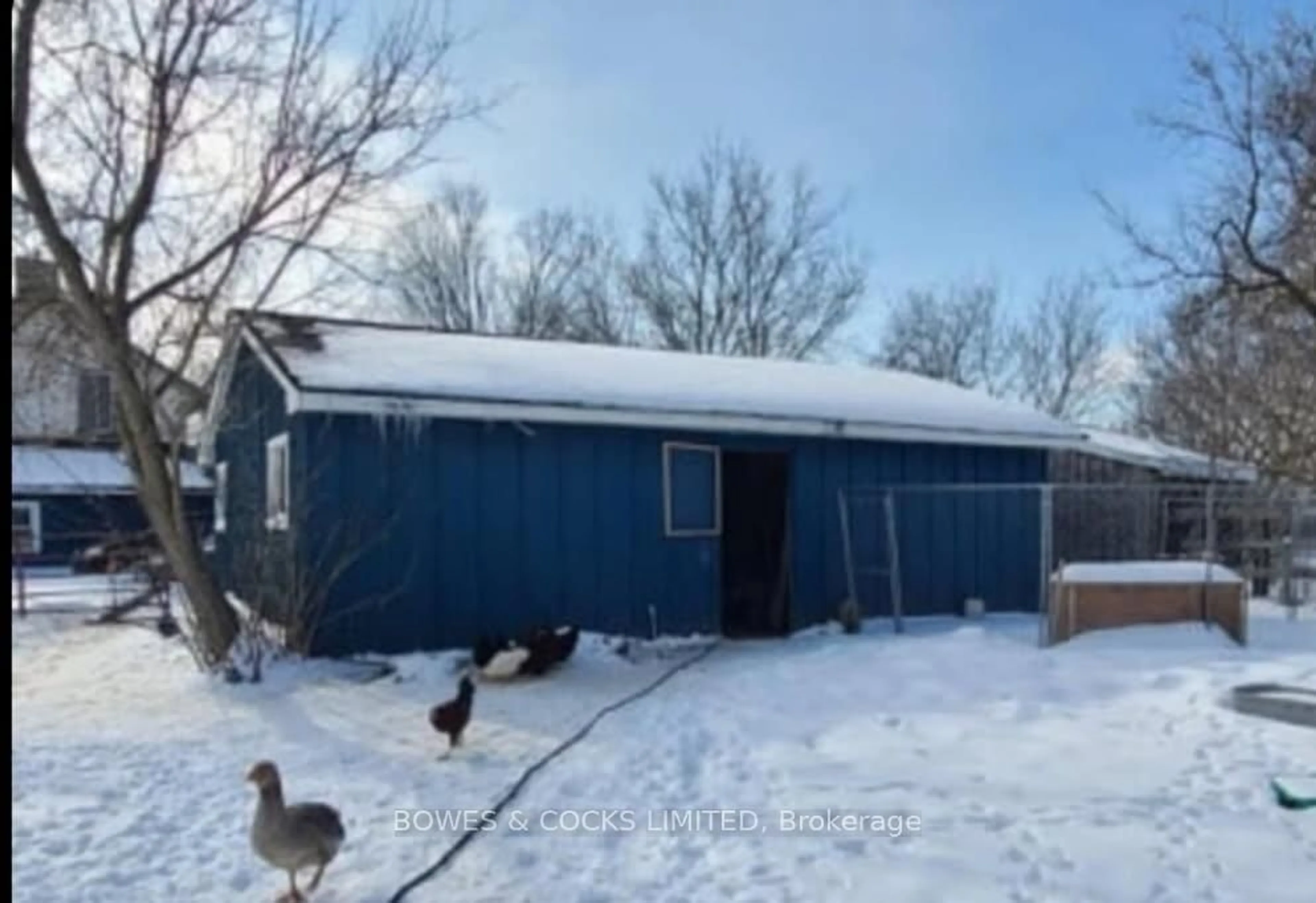 Shed for 2551 Highway 7, Kawartha Lakes Ontario K9V 4R5