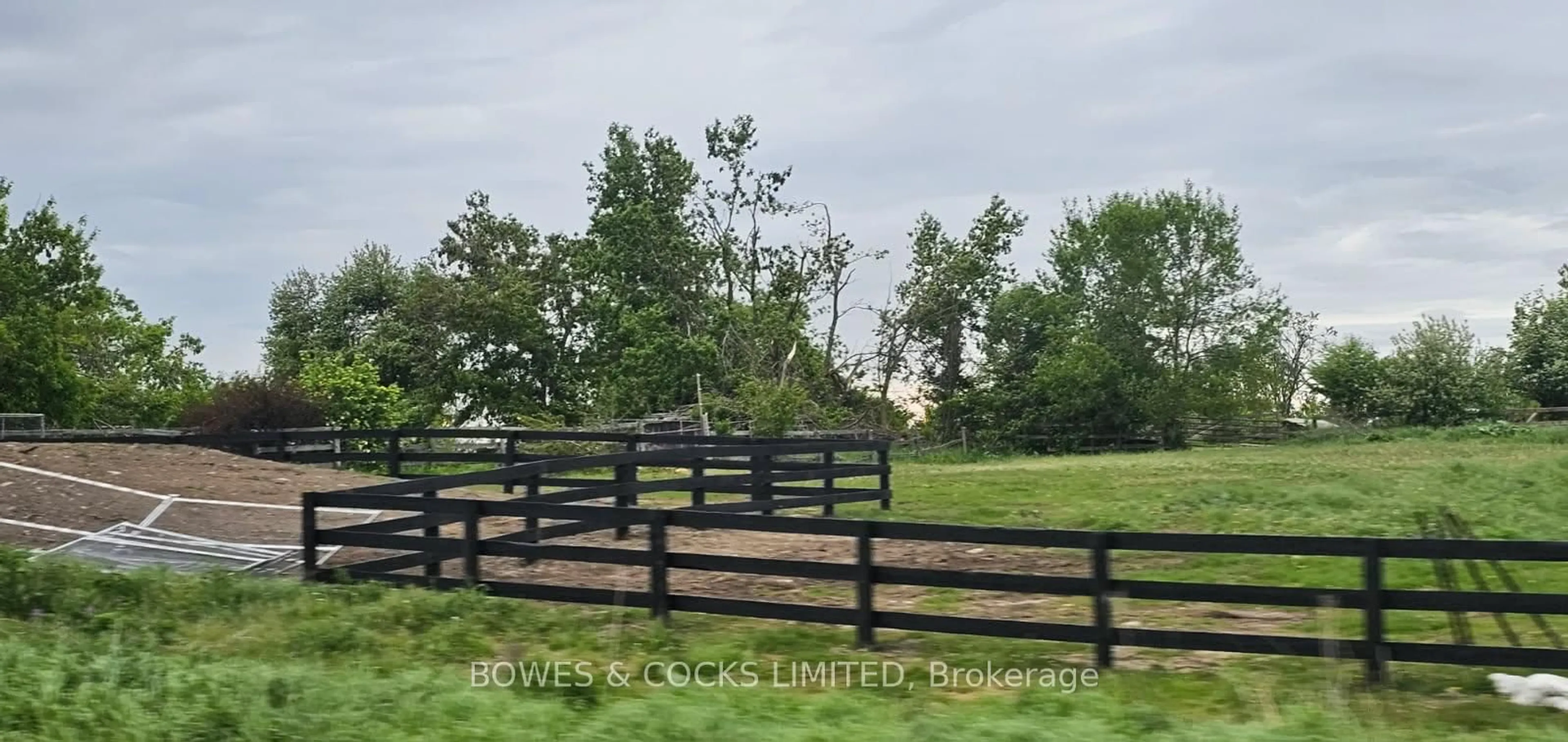 A pic from outside/outdoor area/front of a property/back of a property/a pic from drone, forest/trees view for 2551 Highway 7, Kawartha Lakes Ontario K9V 4R5