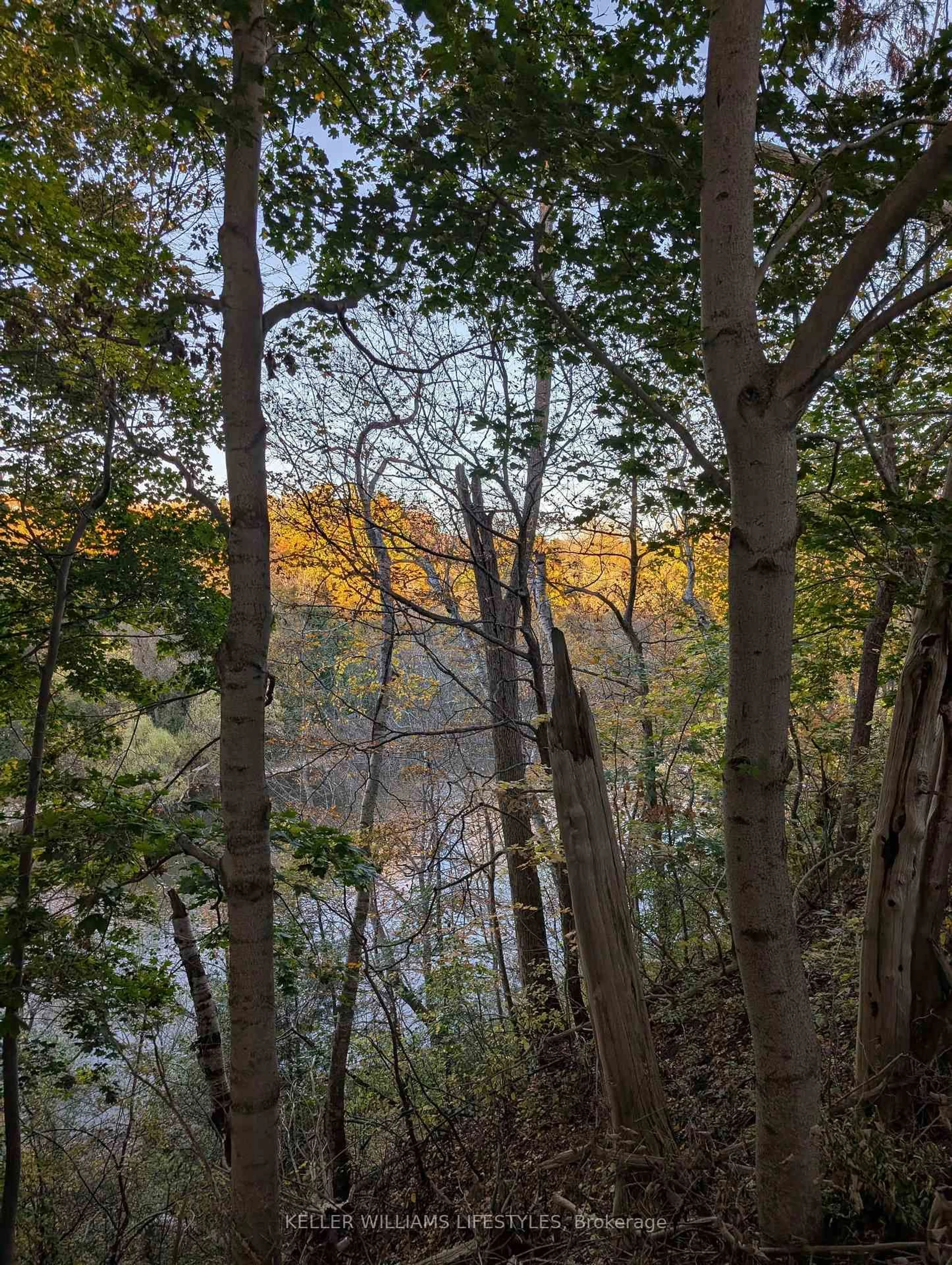 Unknown for 1385 Commissioners Rd #62, London South Ontario N6K 1E2