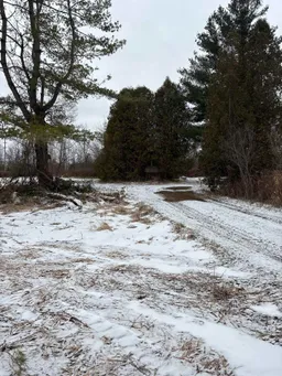 history photo preview