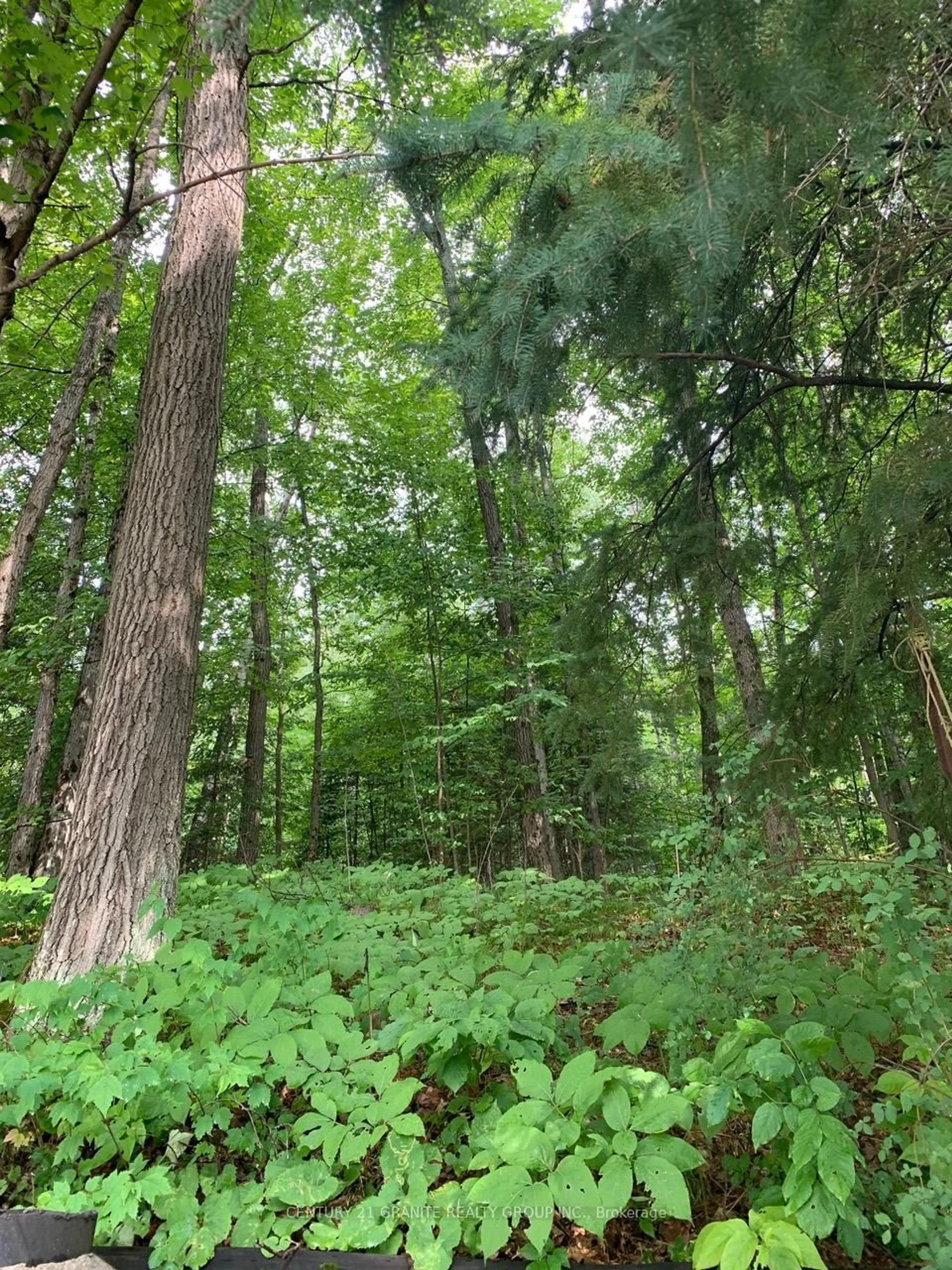 Blurry image for 198 Gaebel Rd, Bancroft Ontario K0L 1C0