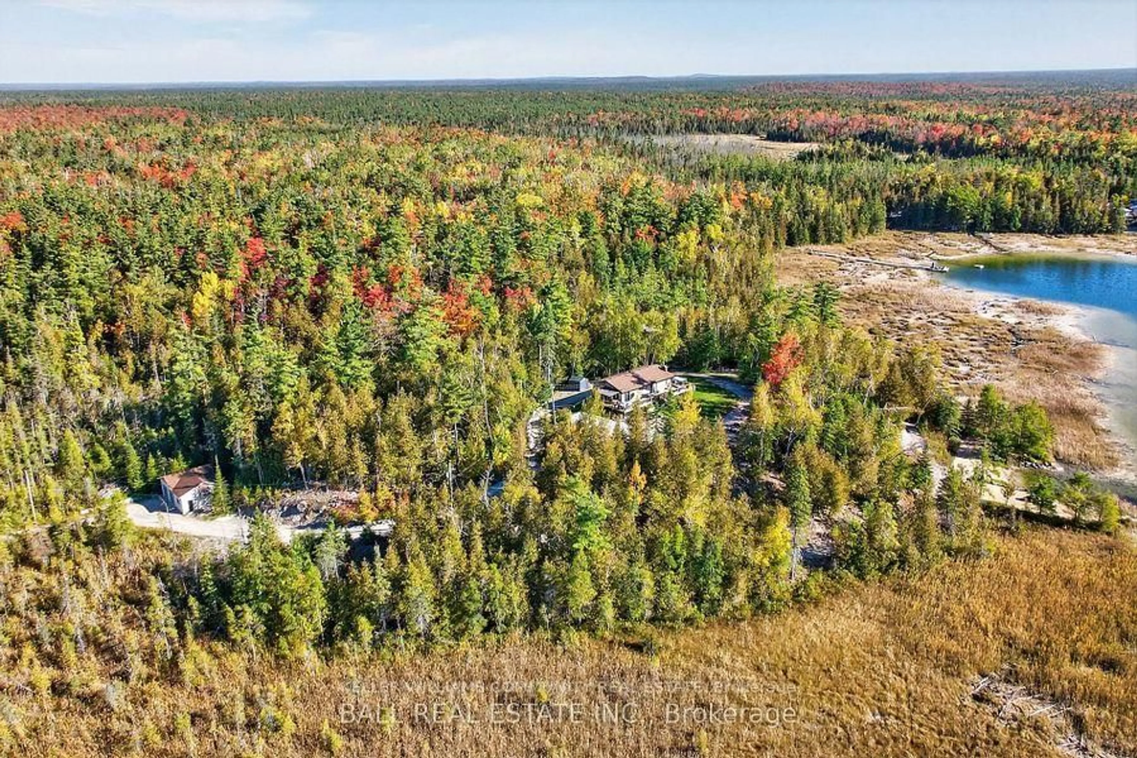 A pic from outside/outdoor area/front of a property/back of a property/a pic from drone, forest/trees view for 1352 County Rd 49 Rd, Trent Lakes Ontario K0M 1A0