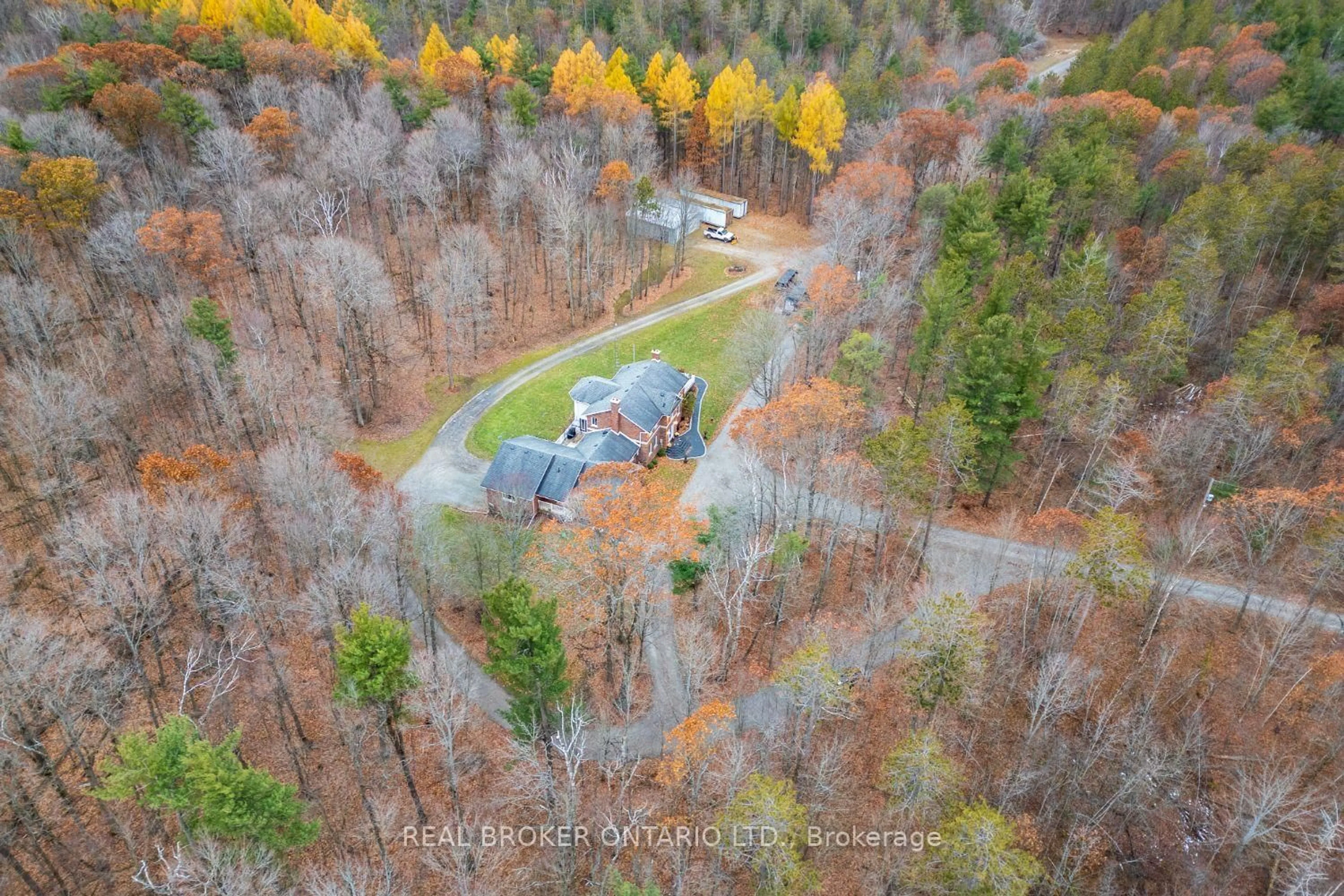 A pic from outside/outdoor area/front of a property/back of a property/a pic from drone, forest/trees view for 398 Sandy Hook Rd, Kawartha Lakes Ontario L0A 1K0