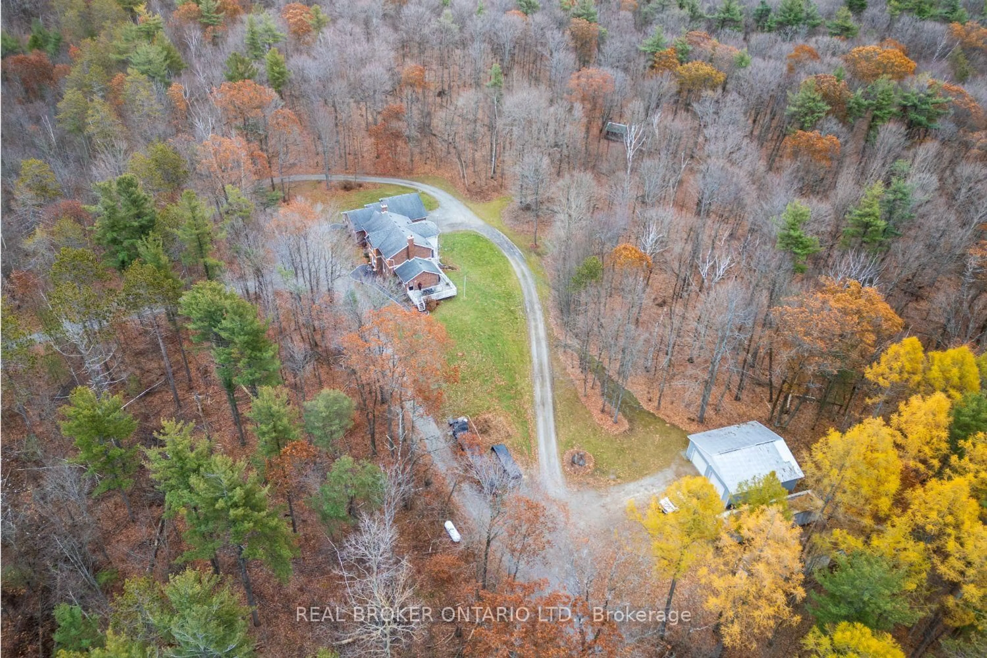 A pic from outside/outdoor area/front of a property/back of a property/a pic from drone, forest/trees view for 398 Sandy Hook Rd, Kawartha Lakes Ontario L0A 1K0