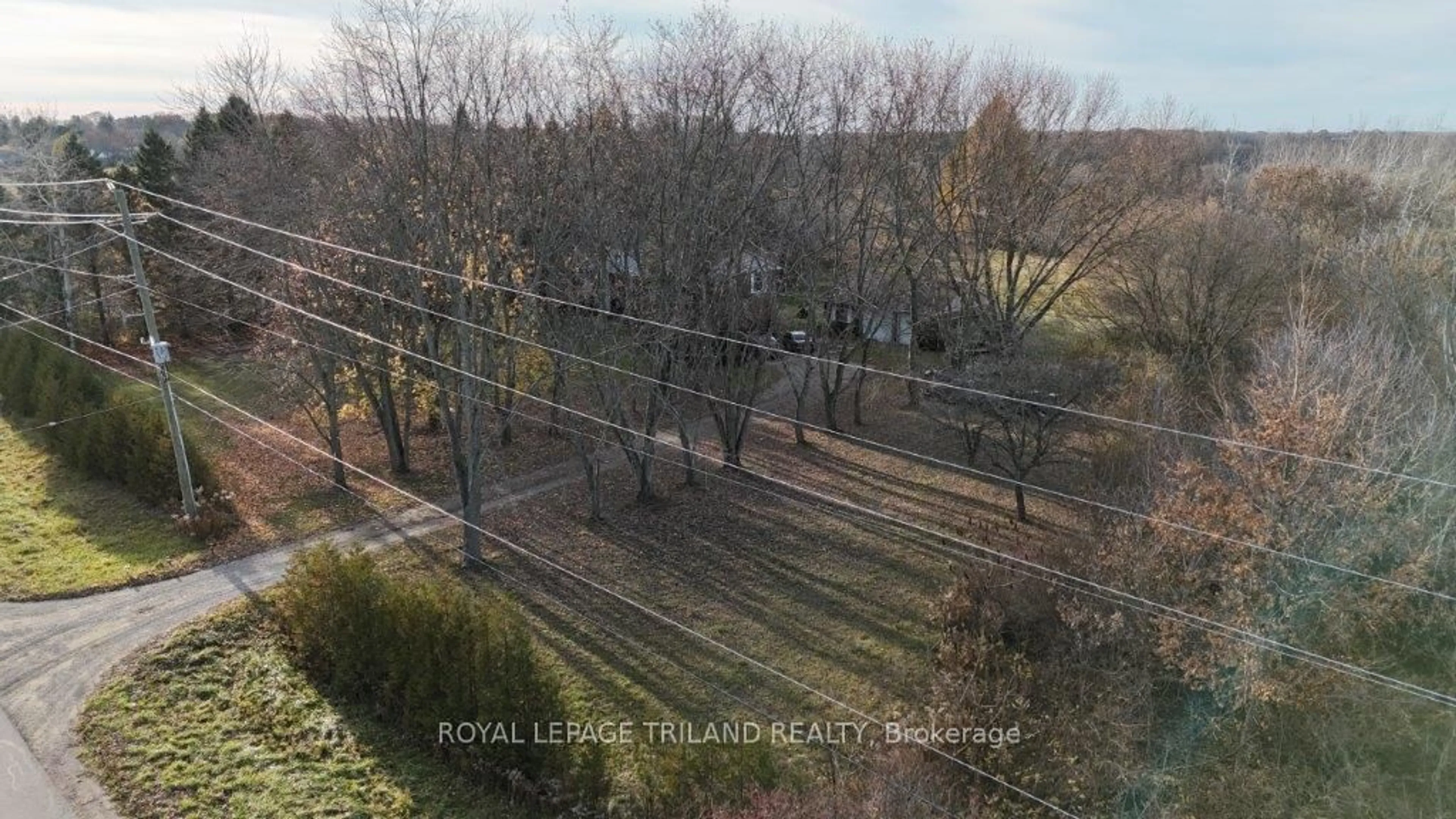 A pic from outside/outdoor area/front of a property/back of a property/a pic from drone, forest/trees view for 5069 East Rd, Central Elgin Ontario N0L 2L0