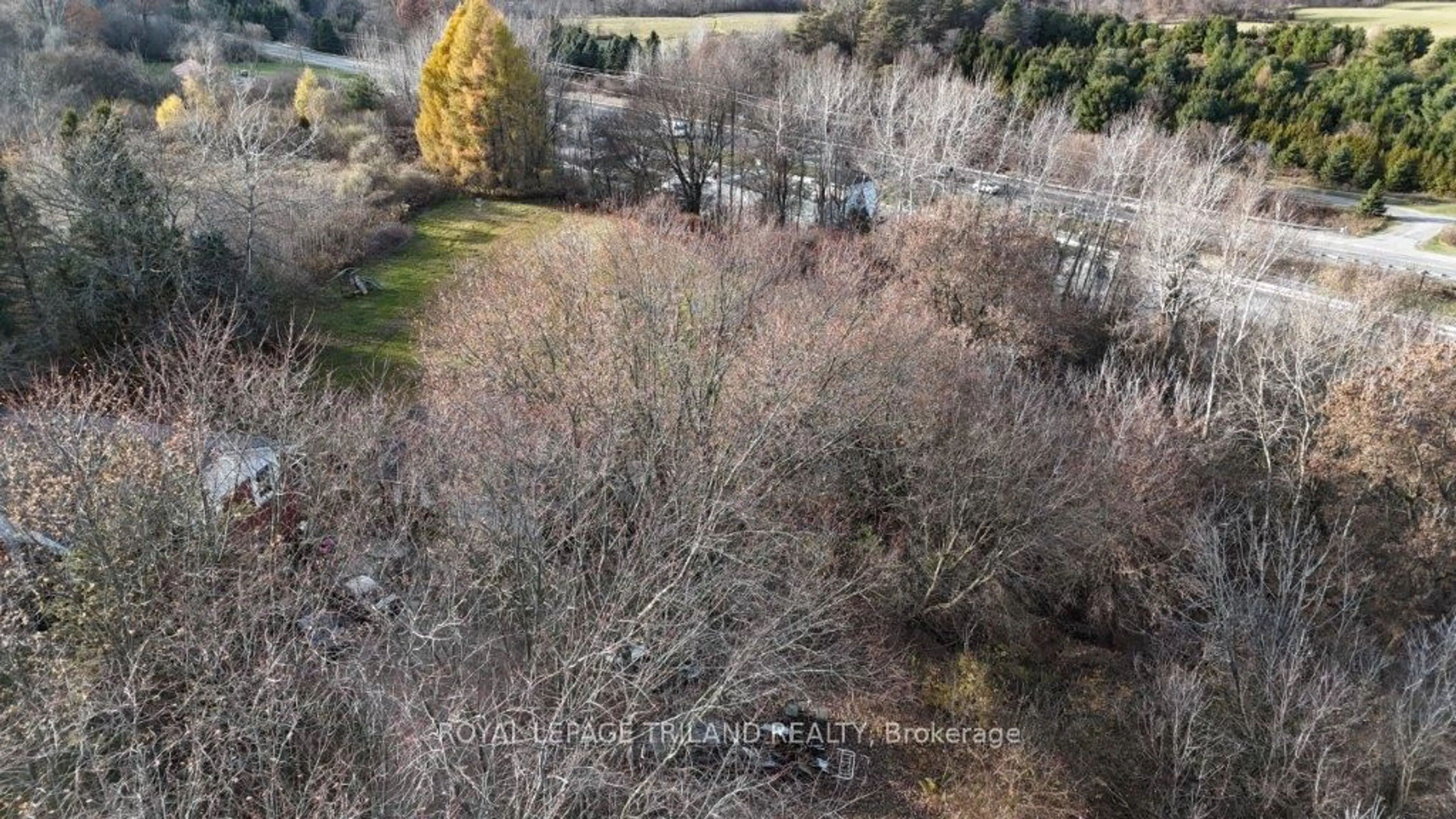 A pic from outside/outdoor area/front of a property/back of a property/a pic from drone, forest/trees view for 5069 East Rd, Central Elgin Ontario N0L 2L0