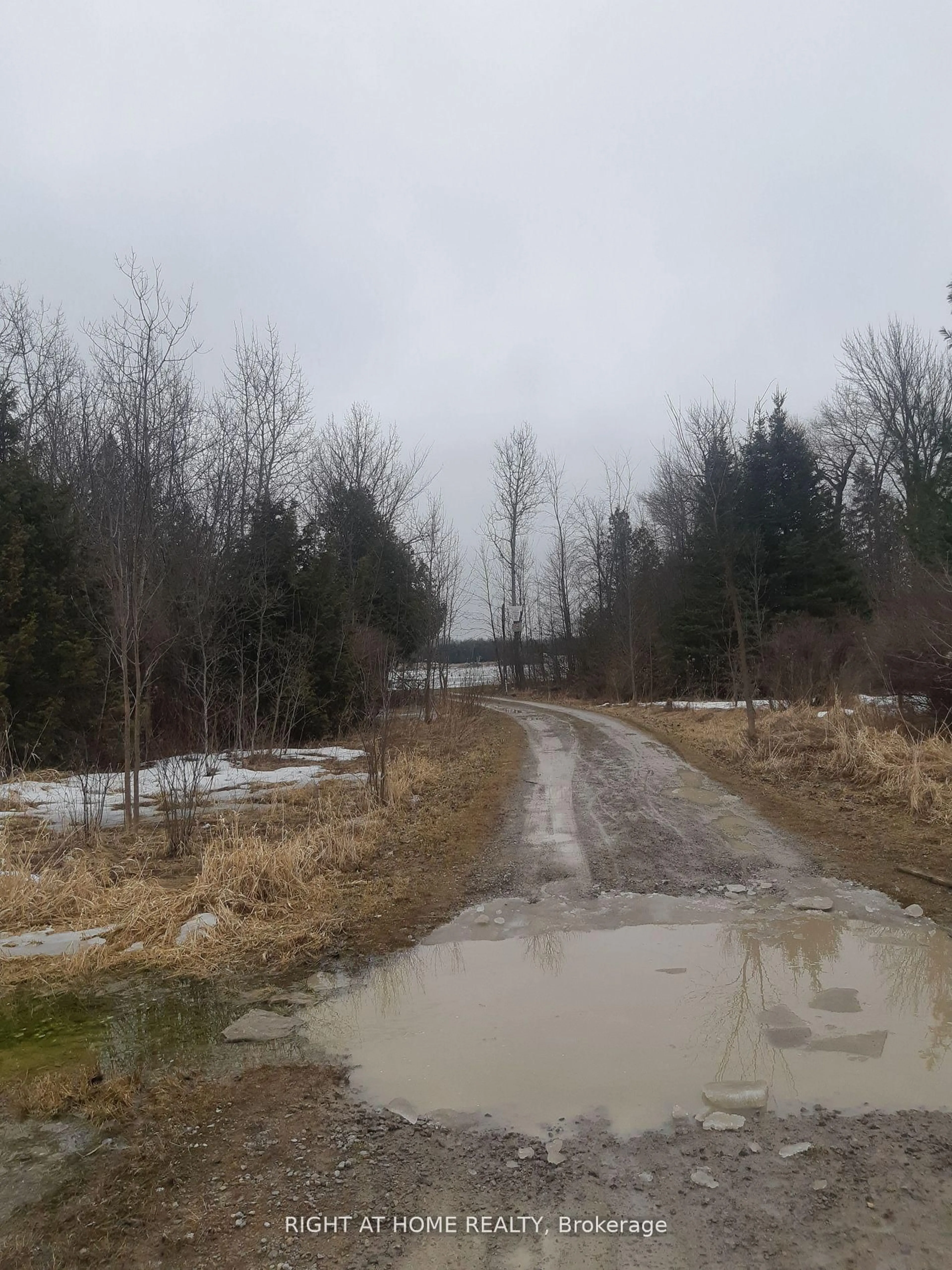 Blurry image for 208 Mcguire Beach Rd, Kawartha Lakes Ontario K0M 2B0