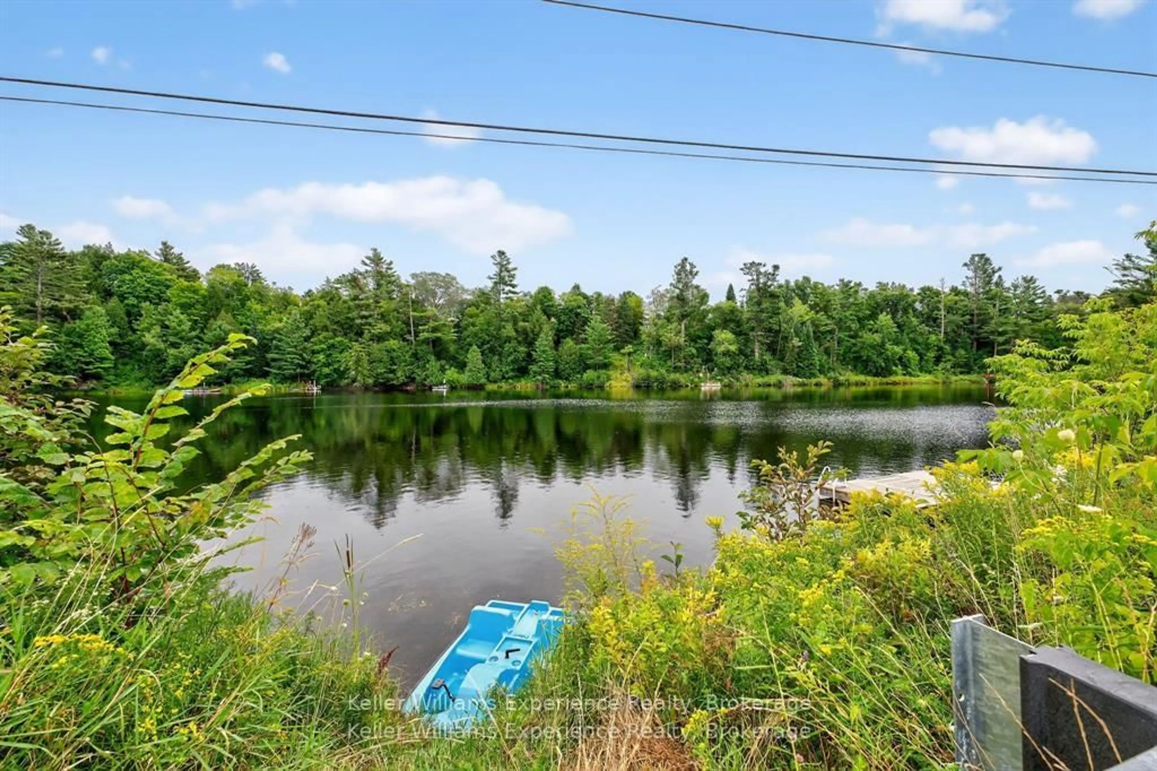 Unknown for 194 ANN St, Bracebridge Ontario P1L 1L8