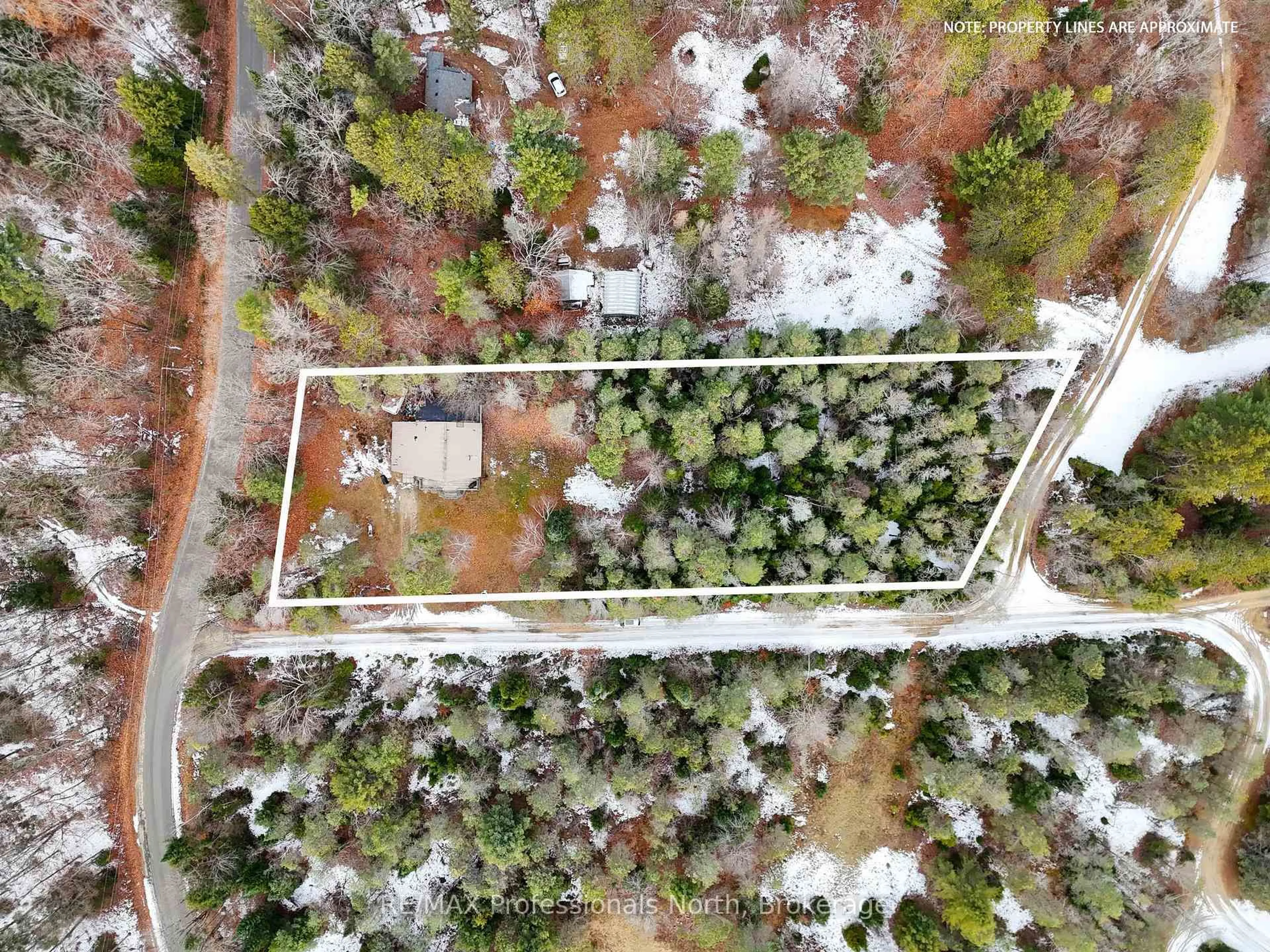 A pic from outside/outdoor area/front of a property/back of a property/a pic from drone, forest/trees view for 1001 Colony Tr, Bracebridge Ontario P1L 1X3