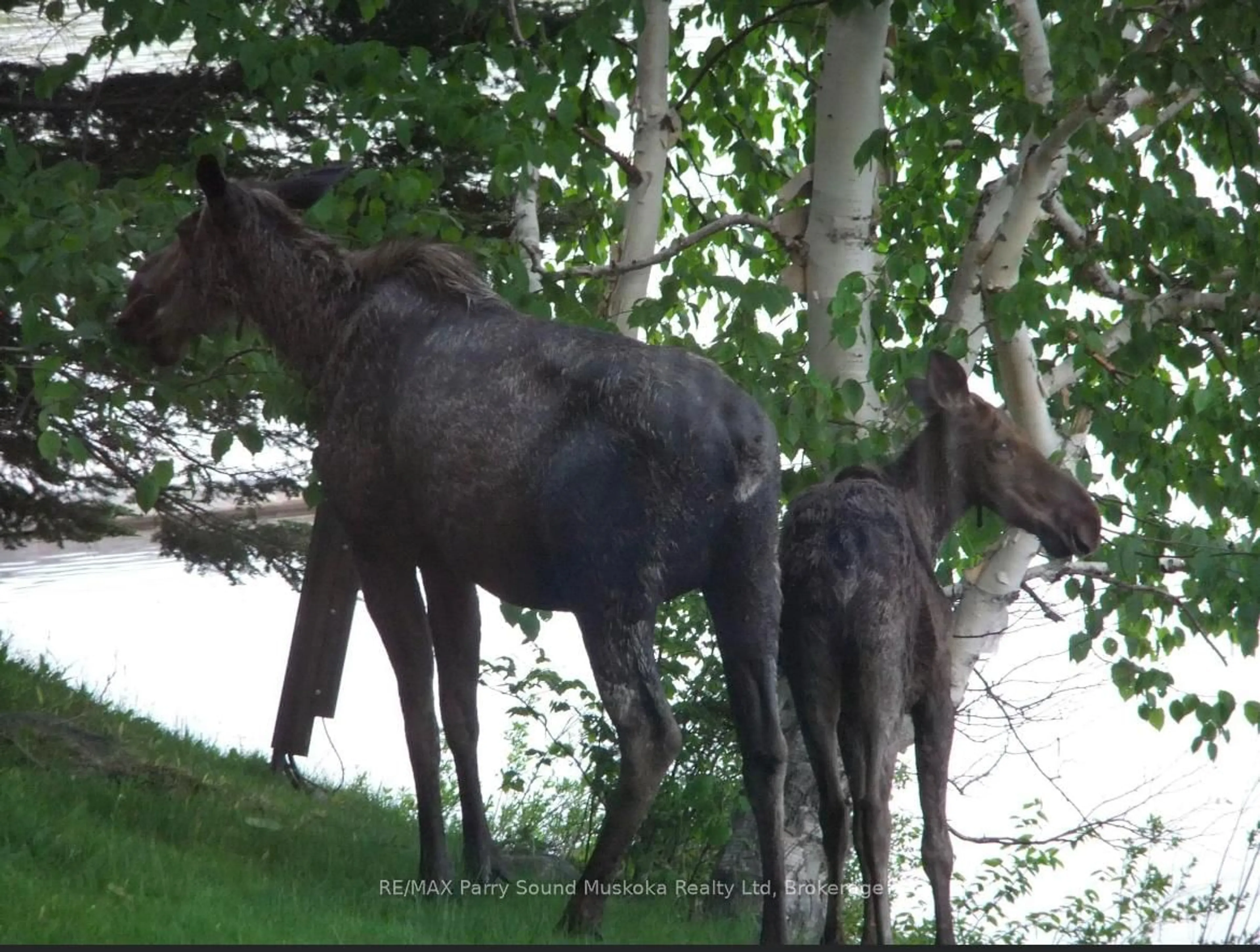 Blurry image for 185 WILSON, Parry Sound Remote Area Ontario P0H 1Y0
