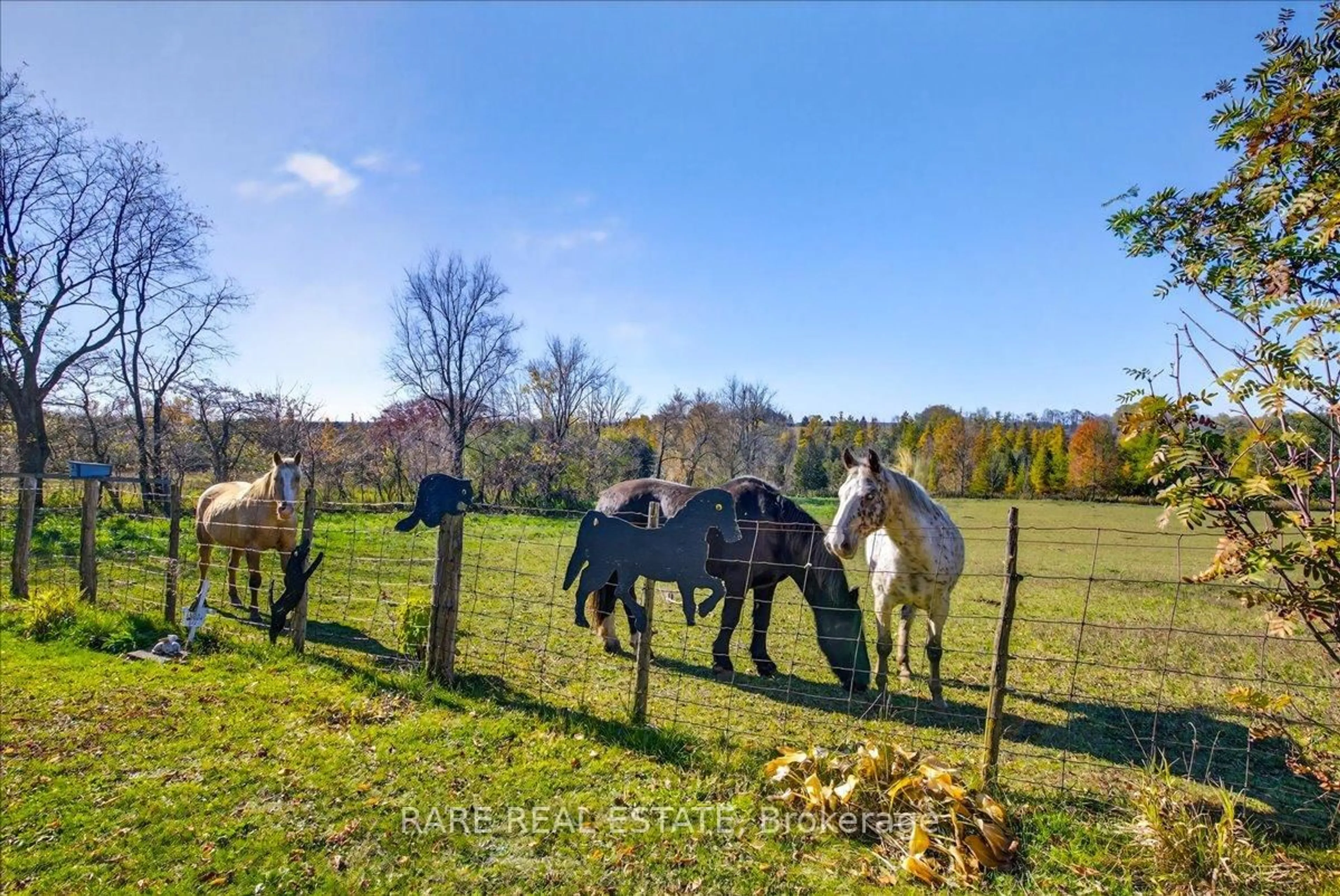A pic from outside/outdoor area/front of a property/back of a property/a pic from drone, unknown for 302694 Douglas St #61, West Grey Ontario N0G 1R0
