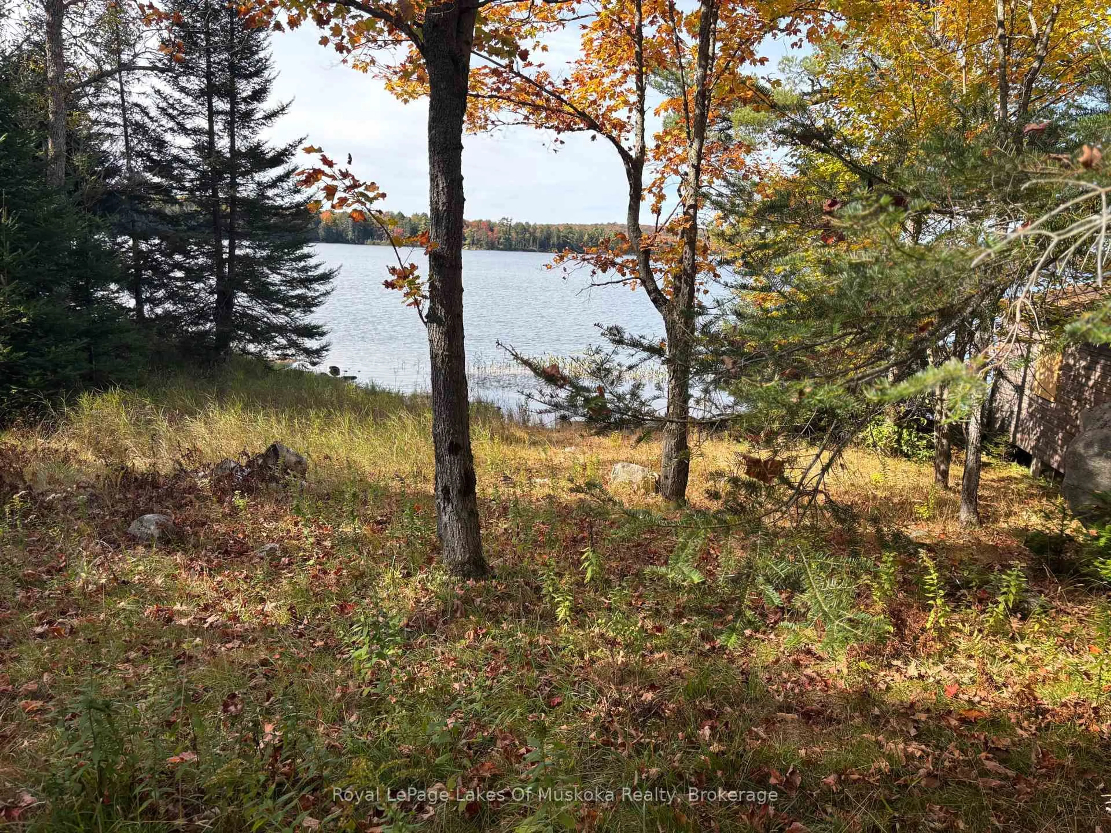 A pic from outside/outdoor area/front of a property/back of a property/a pic from drone, water/lake/river/ocean view for 18A Birch Lane, Machar Ontario P0A 1X0