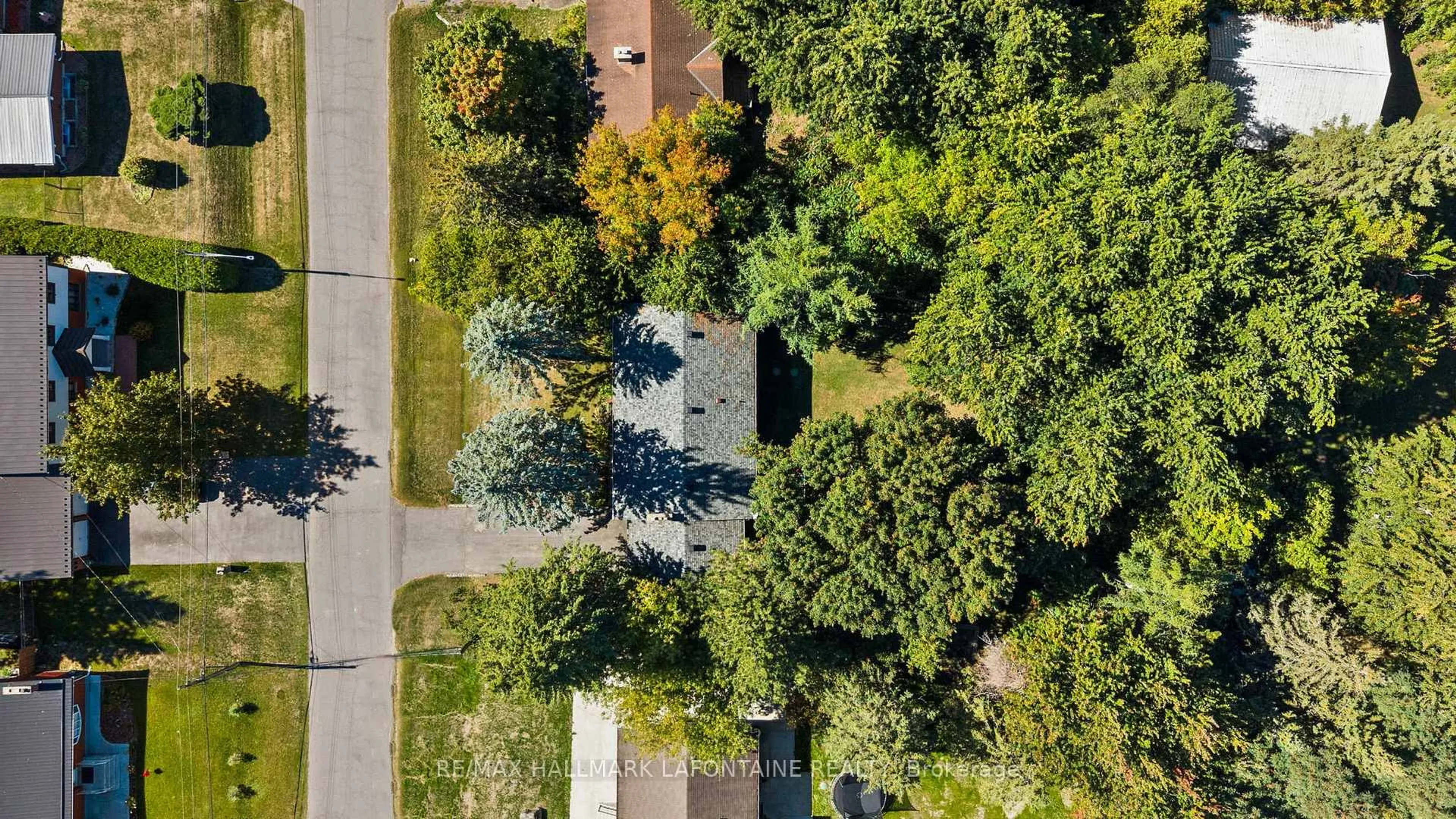 A pic from outside/outdoor area/front of a property/back of a property/a pic from drone, forest/trees view for 6941 Sunset Blvd, Greely Ontario K4P 1C5