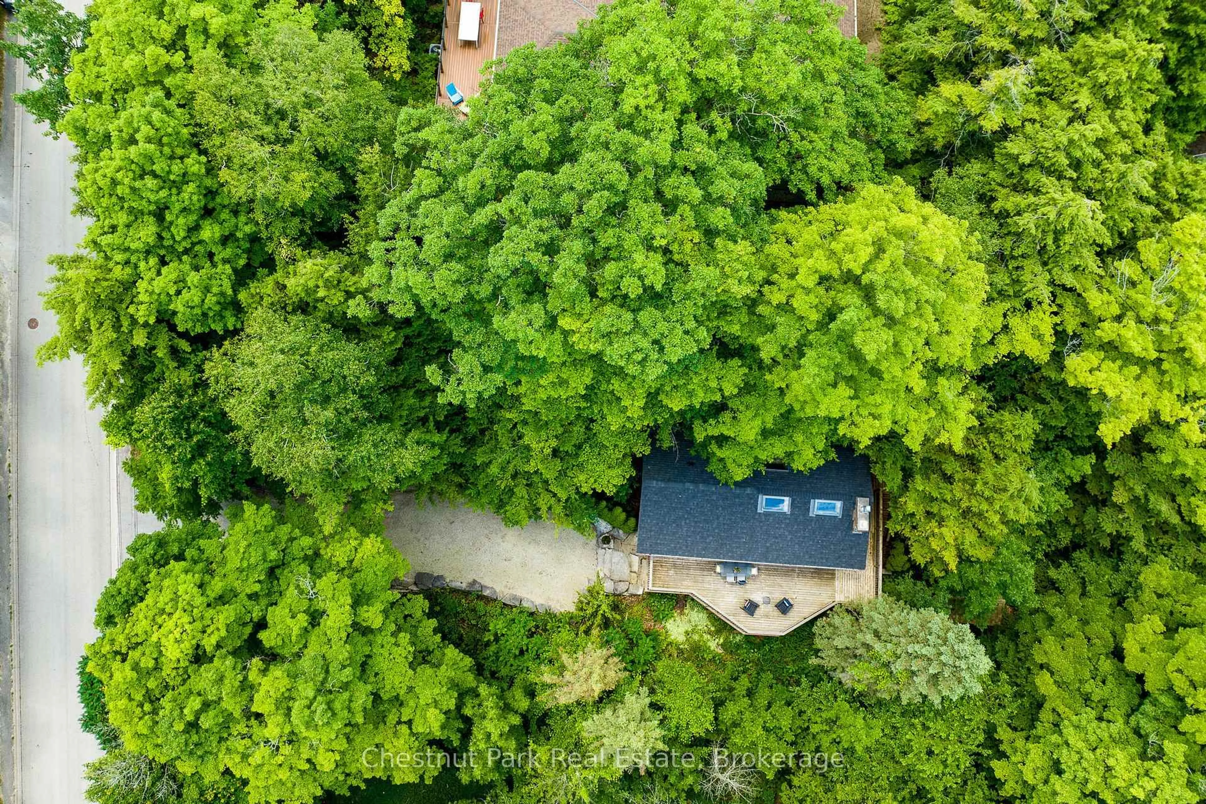 A pic from outside/outdoor area/front of a property/back of a property/a pic from drone, forest/trees view for 146 Chamonix Cres, Blue Mountains Ontario L9Y 3Z2