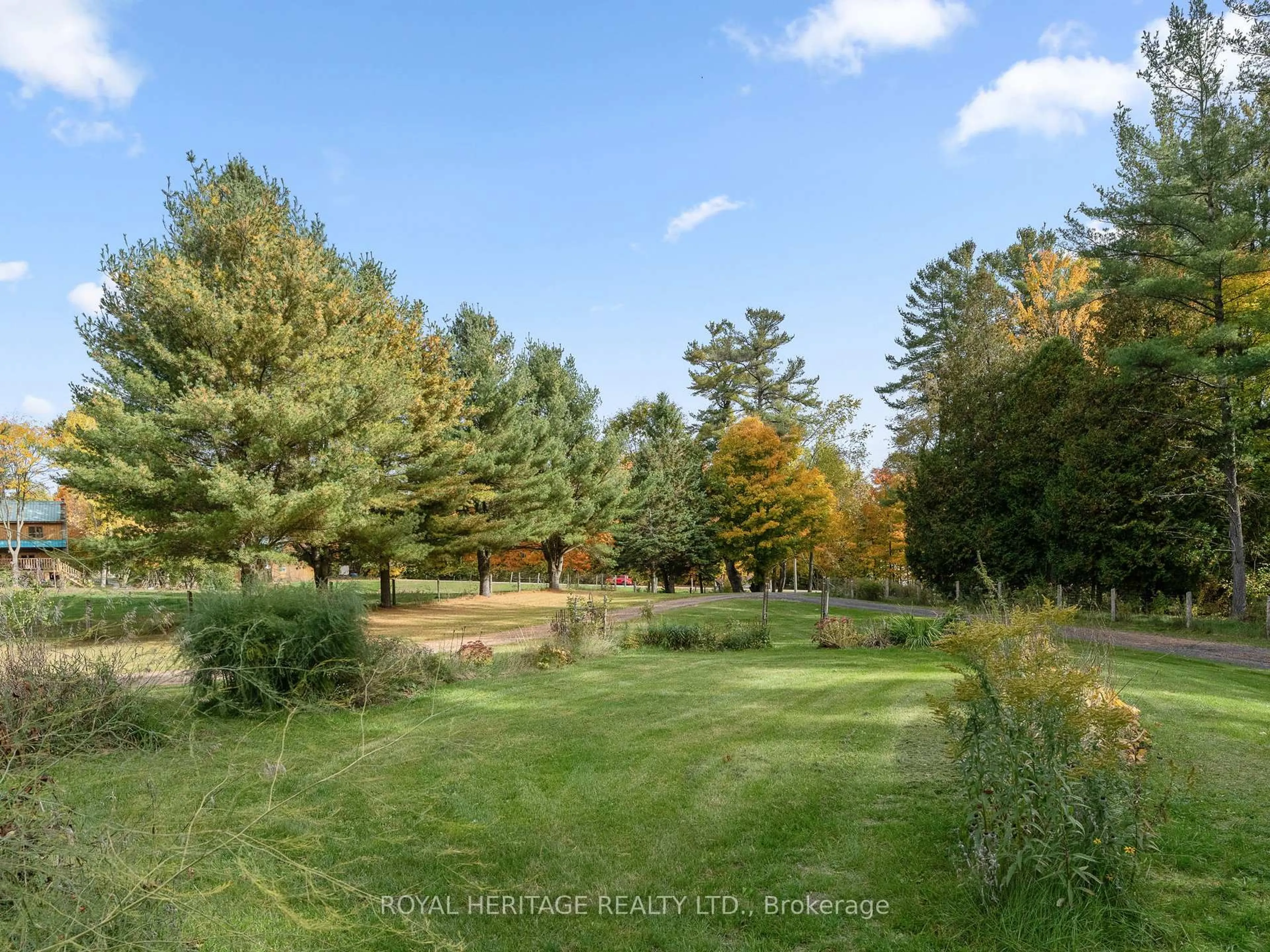 A pic from outside/outdoor area/front of a property/back of a property/a pic from drone, forest/trees view for 1314 Inglis Rd, Alnwick/Haldimand Ontario K0K 2G0