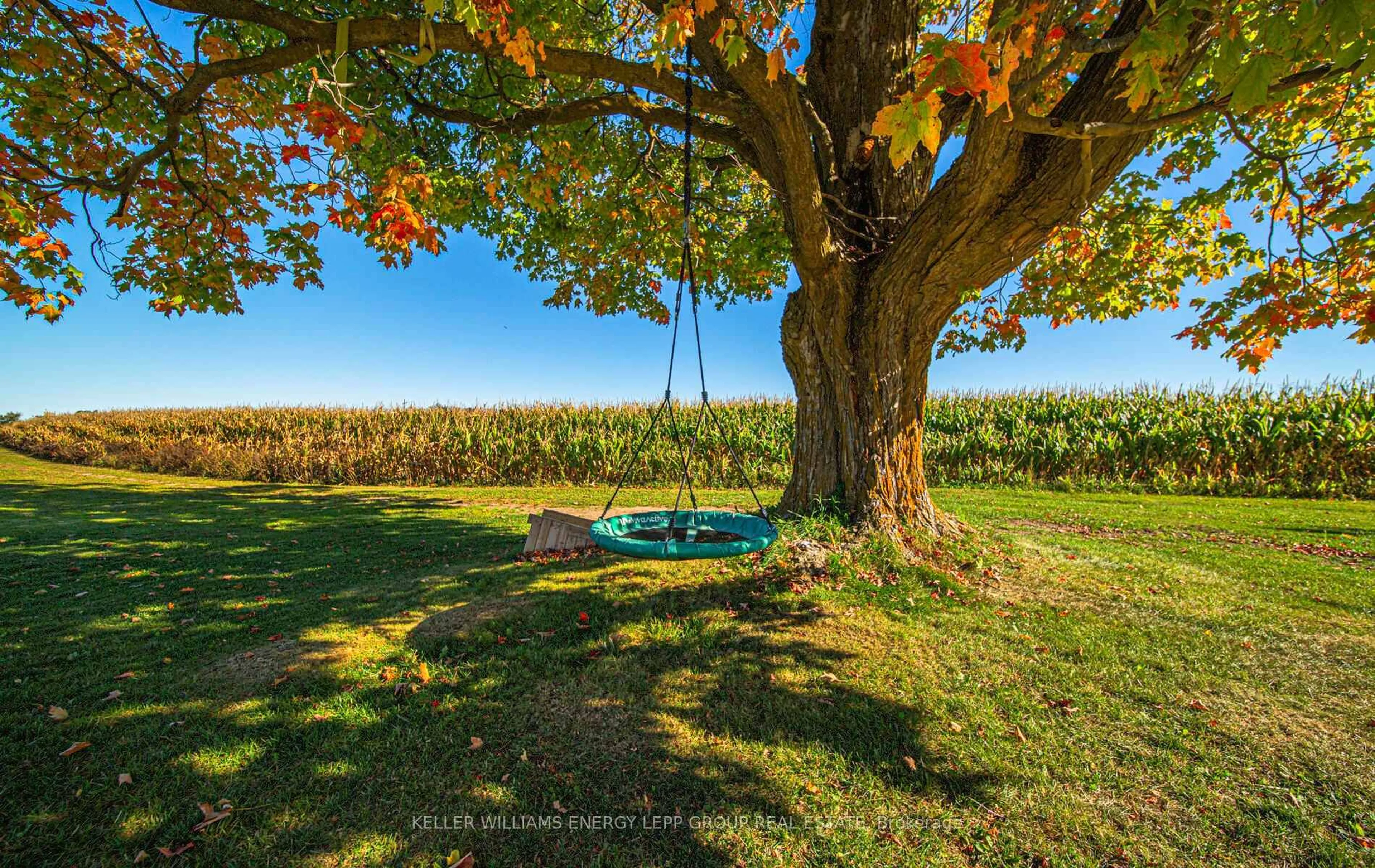 Patio, water/lake/river/ocean view for 305 Glenarm Rd, Kawartha Lakes Ontario K0M 2T0