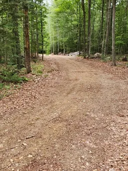 history photo preview