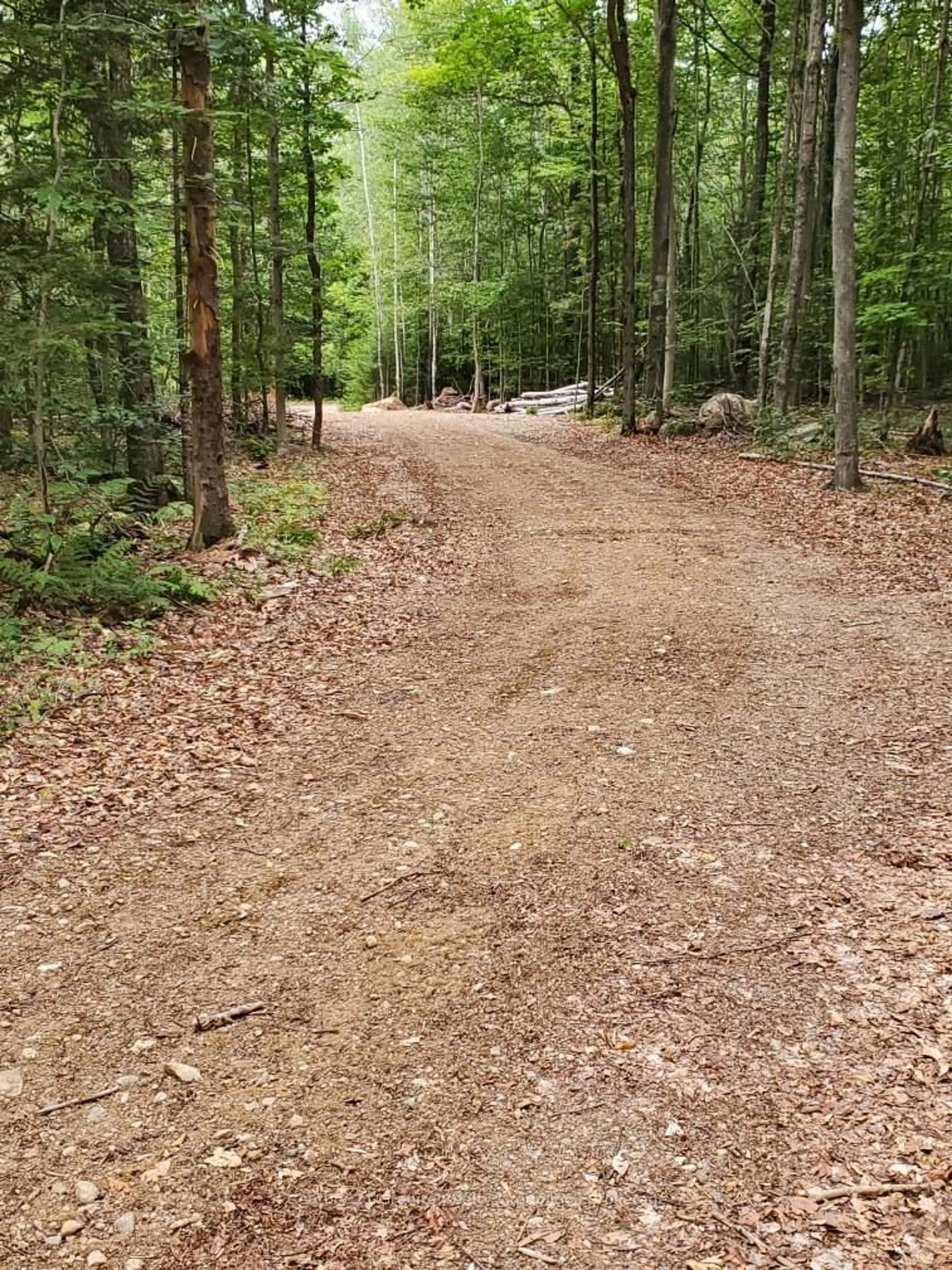 Unknown for 00 Ross Tr, Dysart et al Ontario K0M 1S0