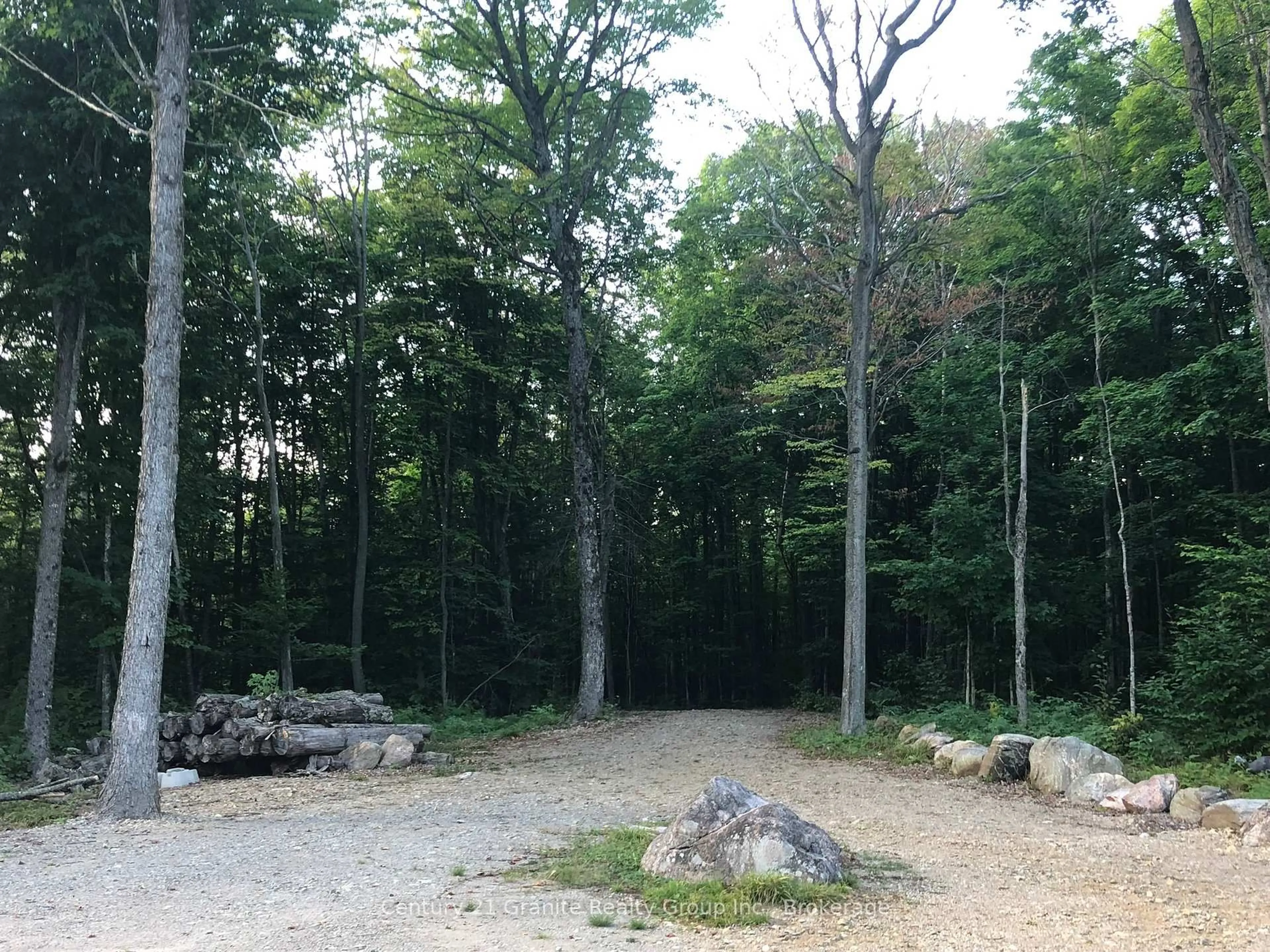 Patio, forest/trees view for 00 Ross Tr, Dysart et al Ontario K0M 1S0