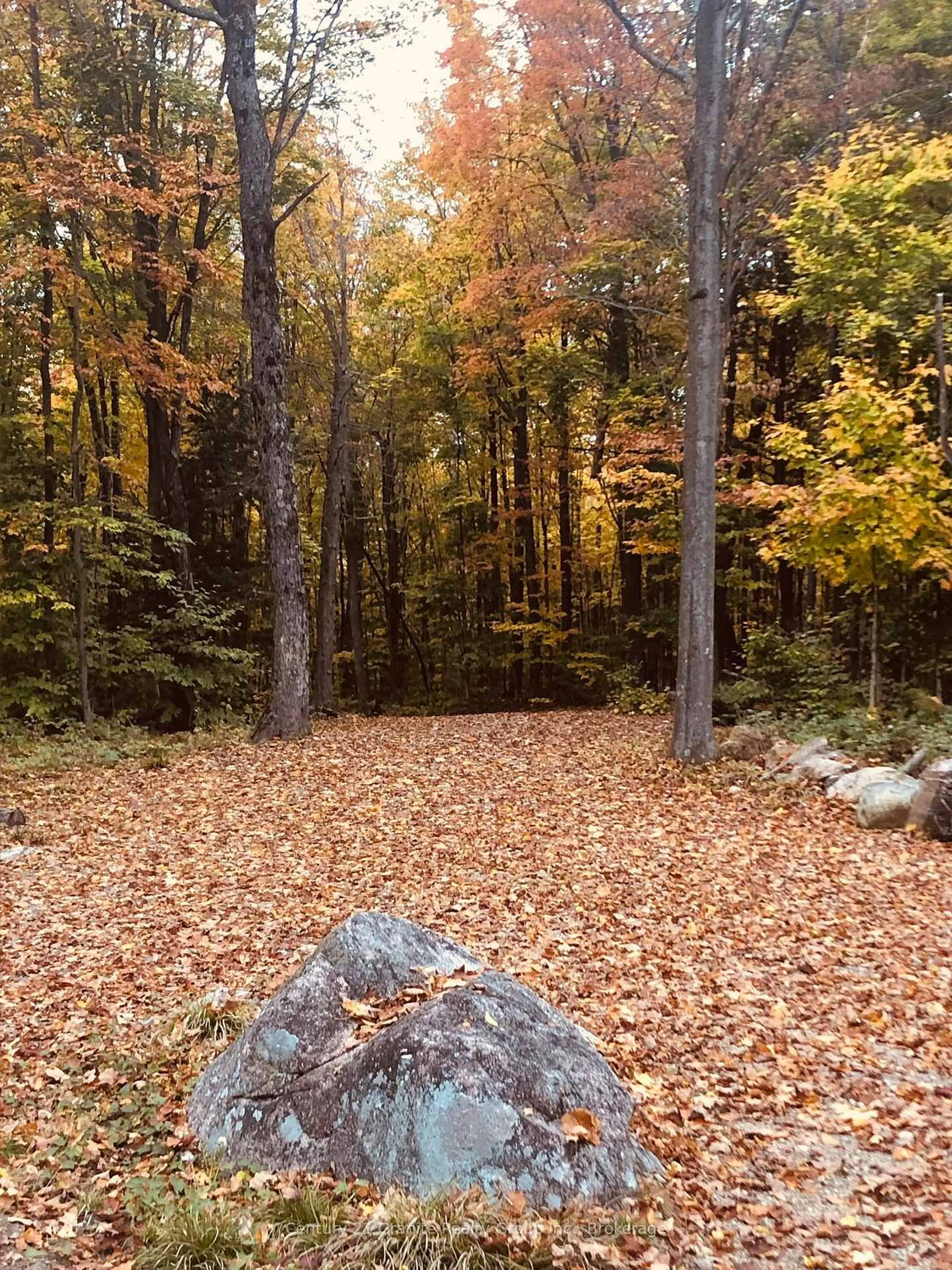 Unknown for 00 Ross Tr, Dysart et al Ontario K0M 1S0