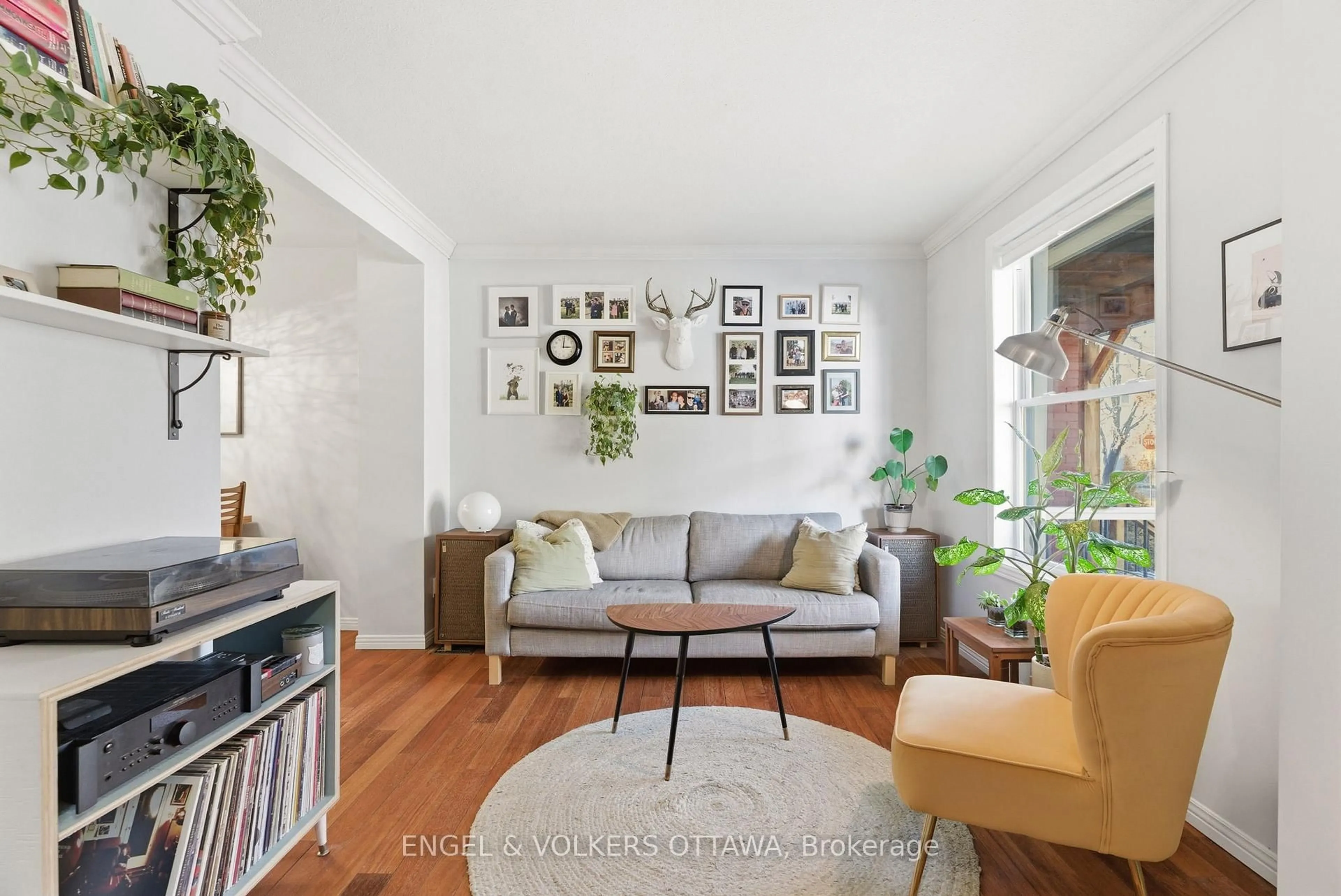 Living room with furniture, unknown for 364 Arlington Ave, Ottawa Ontario K1R 6Z3