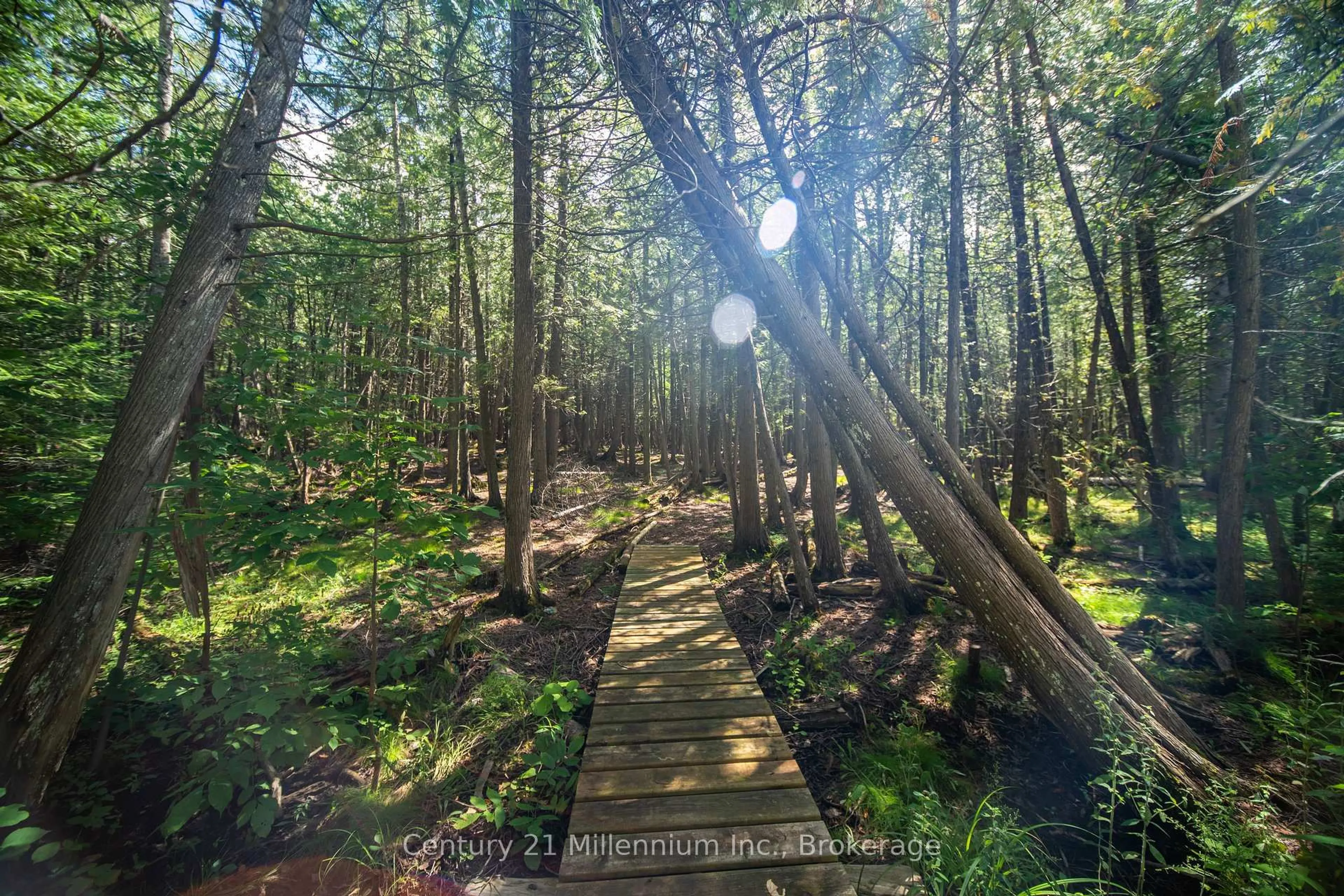Stairs for 1025 West Rd, Northern Bruce Peninsula Ontario N0H 1W0
