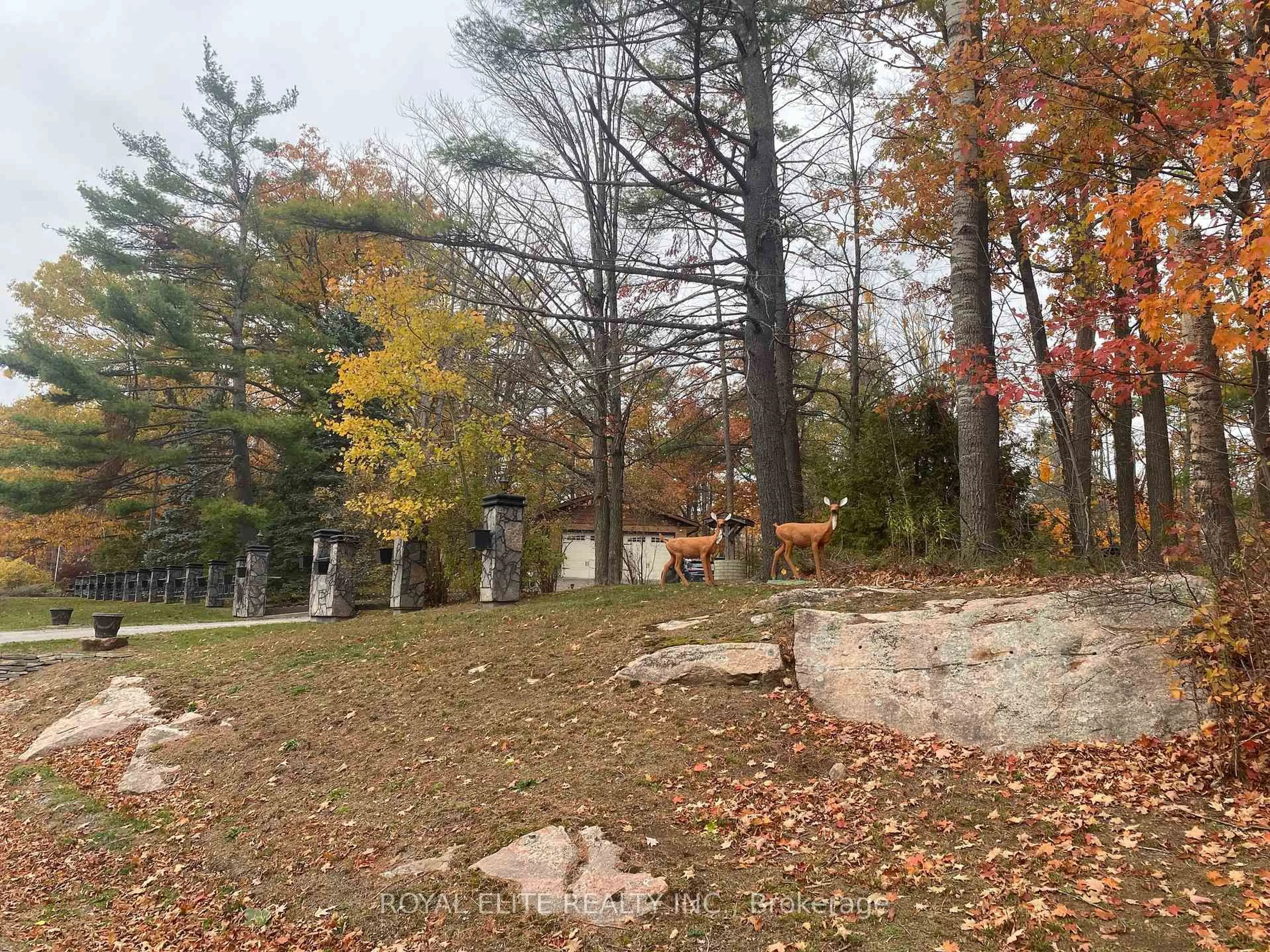 Unknown for 2943 County Rd 36, Trent Lakes Ontario K0L 1J0