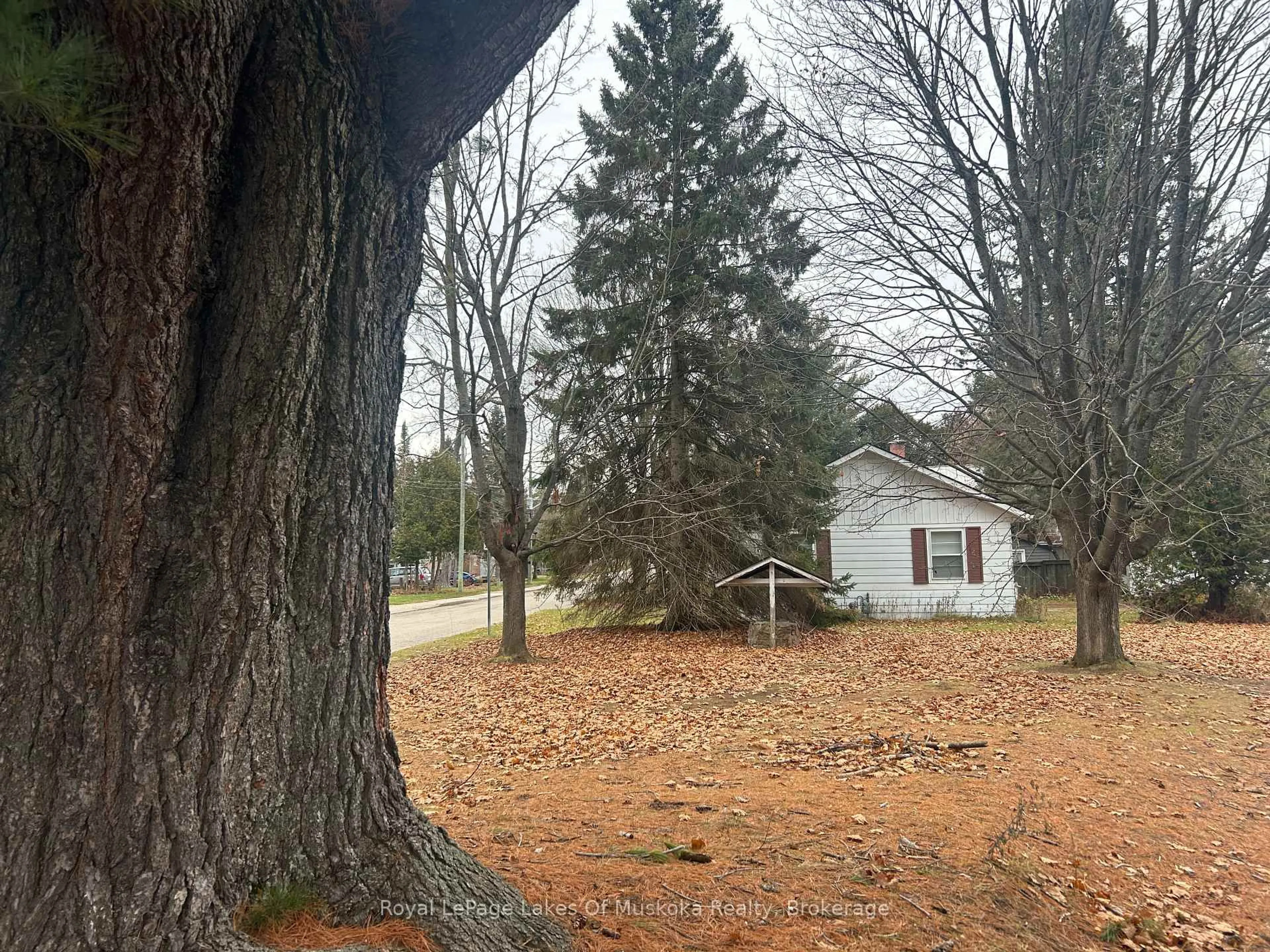 Unknown for 66 Front St, Bracebridge Ontario P1L 1J6