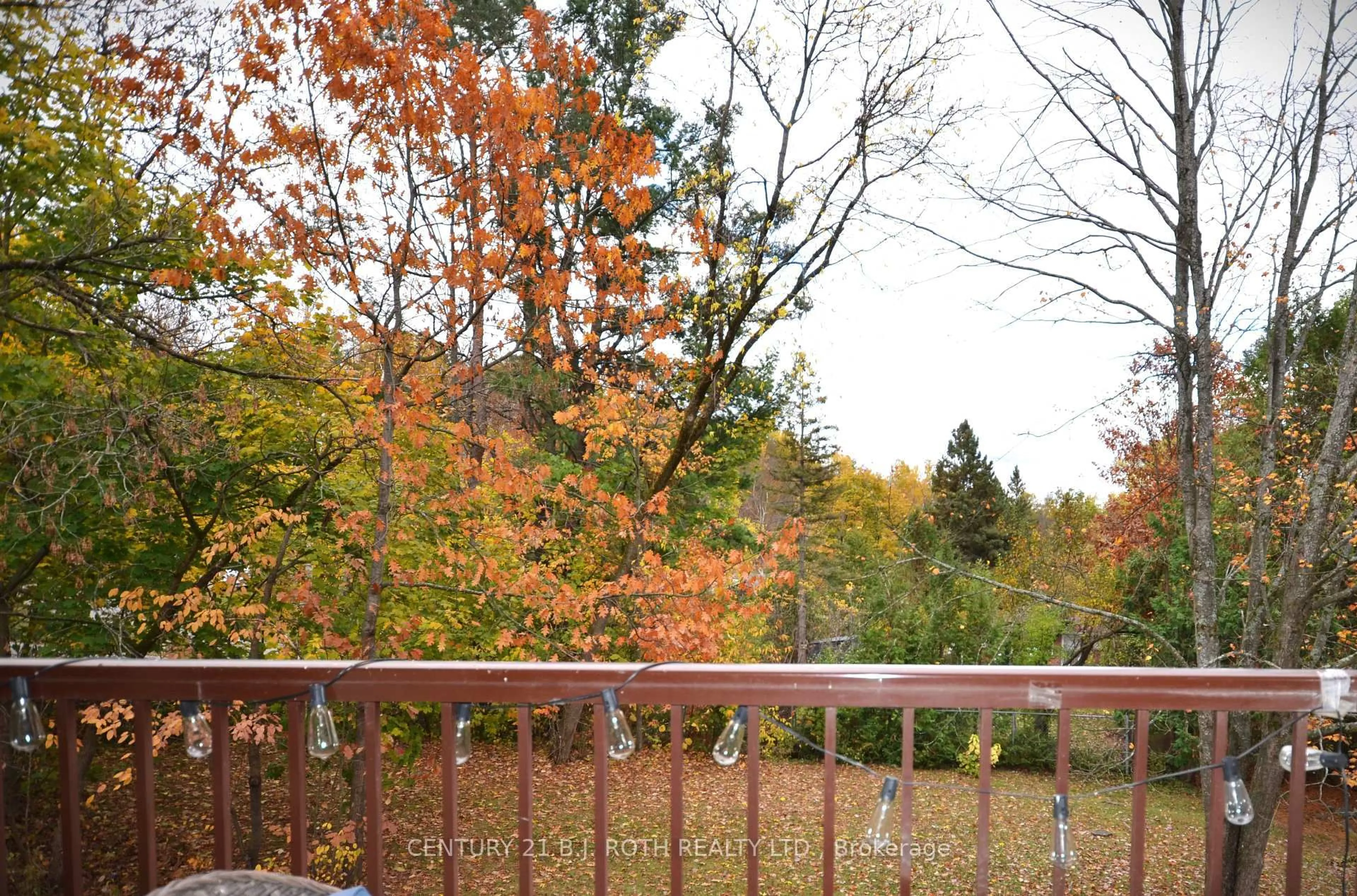 Patio, forest/trees view for 38 MONCK Rd #206, Bracebridge Ontario P1L 1P4