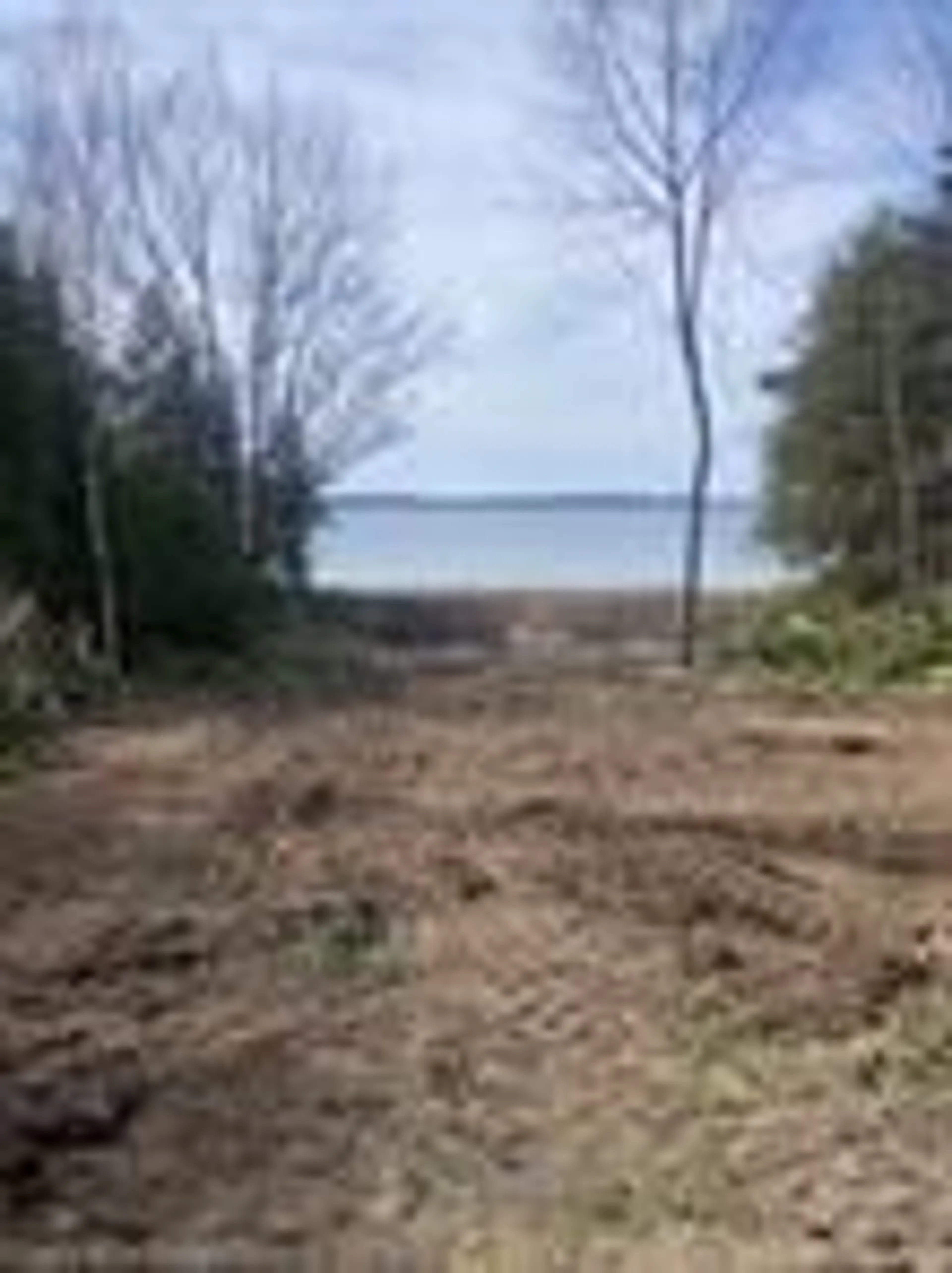 Blurry image for 504329 Grey Road 1 Rd, Georgian Bluffs Ontario N0H 2T0