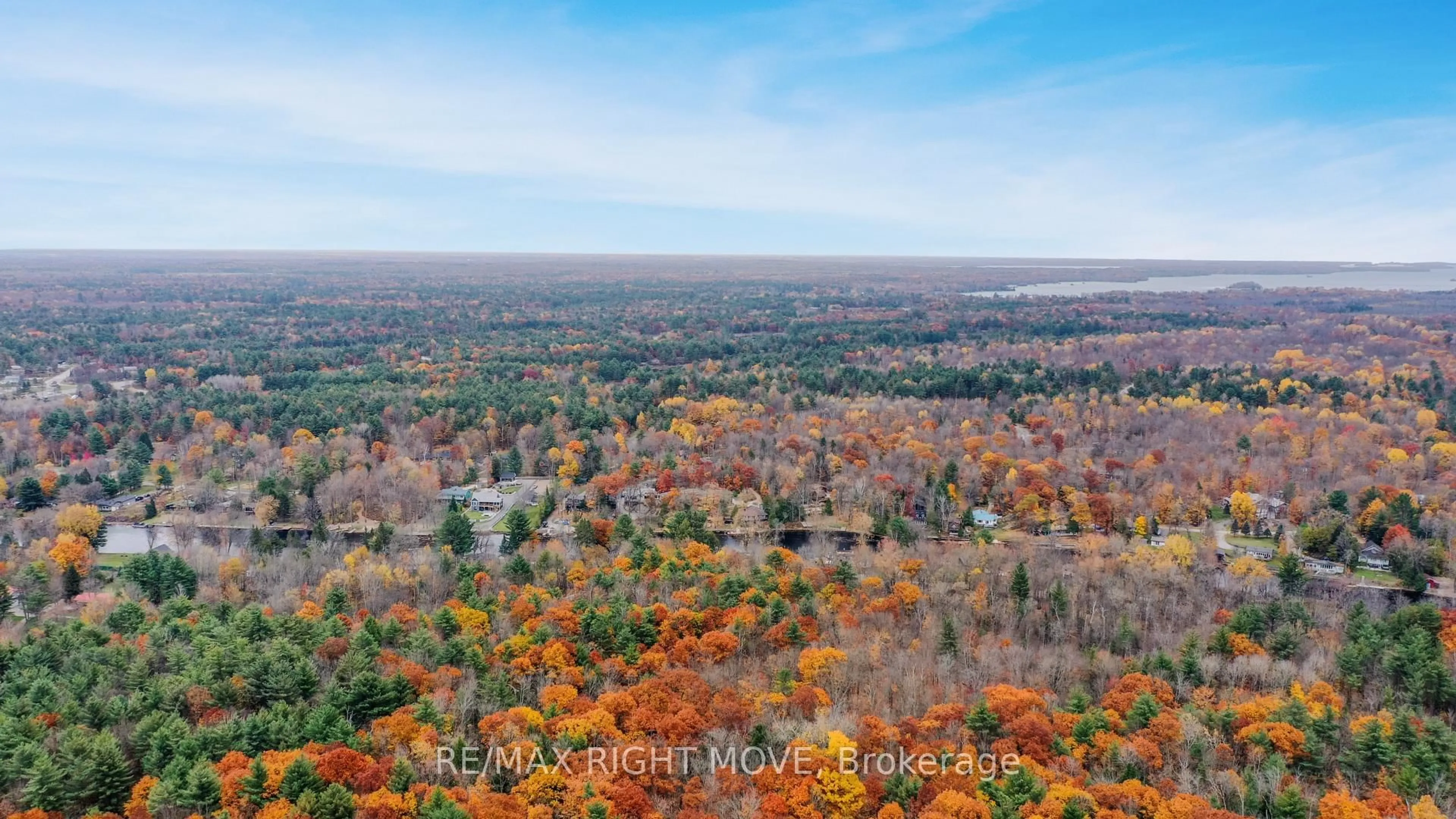 A pic from outside/outdoor area/front of a property/back of a property/a pic from drone, forest/trees view for 1025 Davis Dr, Gravenhurst Ontario P0E 1N0