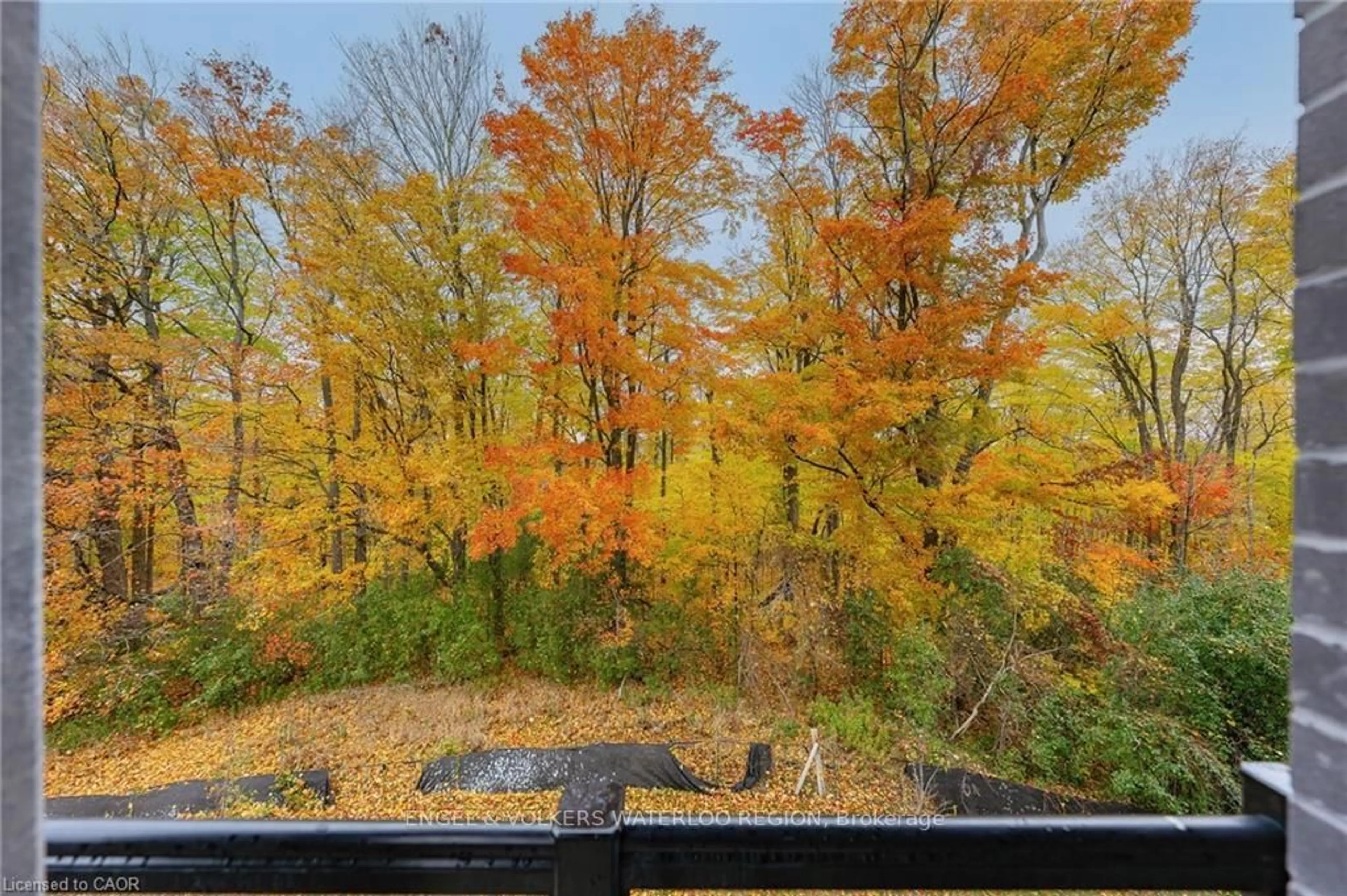 Patio, forest/trees view for 1100 Lackner Pl #206, Kitchener Ontario N2A 0M1