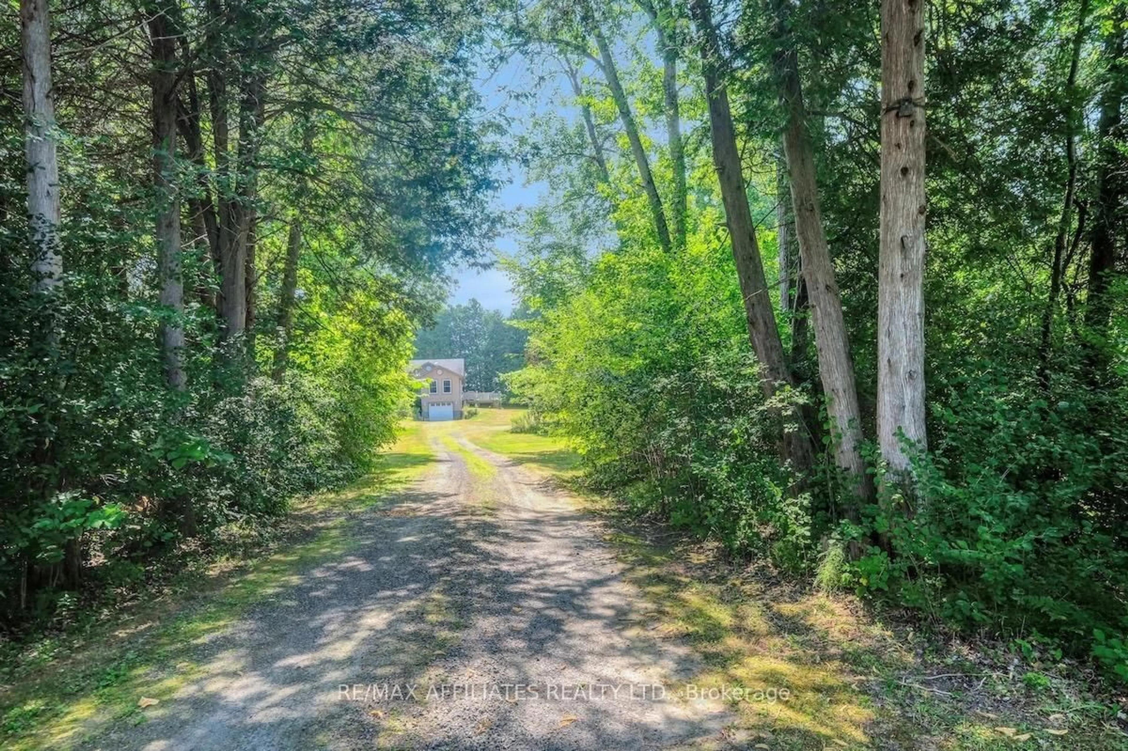 A pic from outside/outdoor area/front of a property/back of a property/a pic from drone, forest/trees view for 1895 Concession 10A Rd, Lanark Ontario K0G 1K0