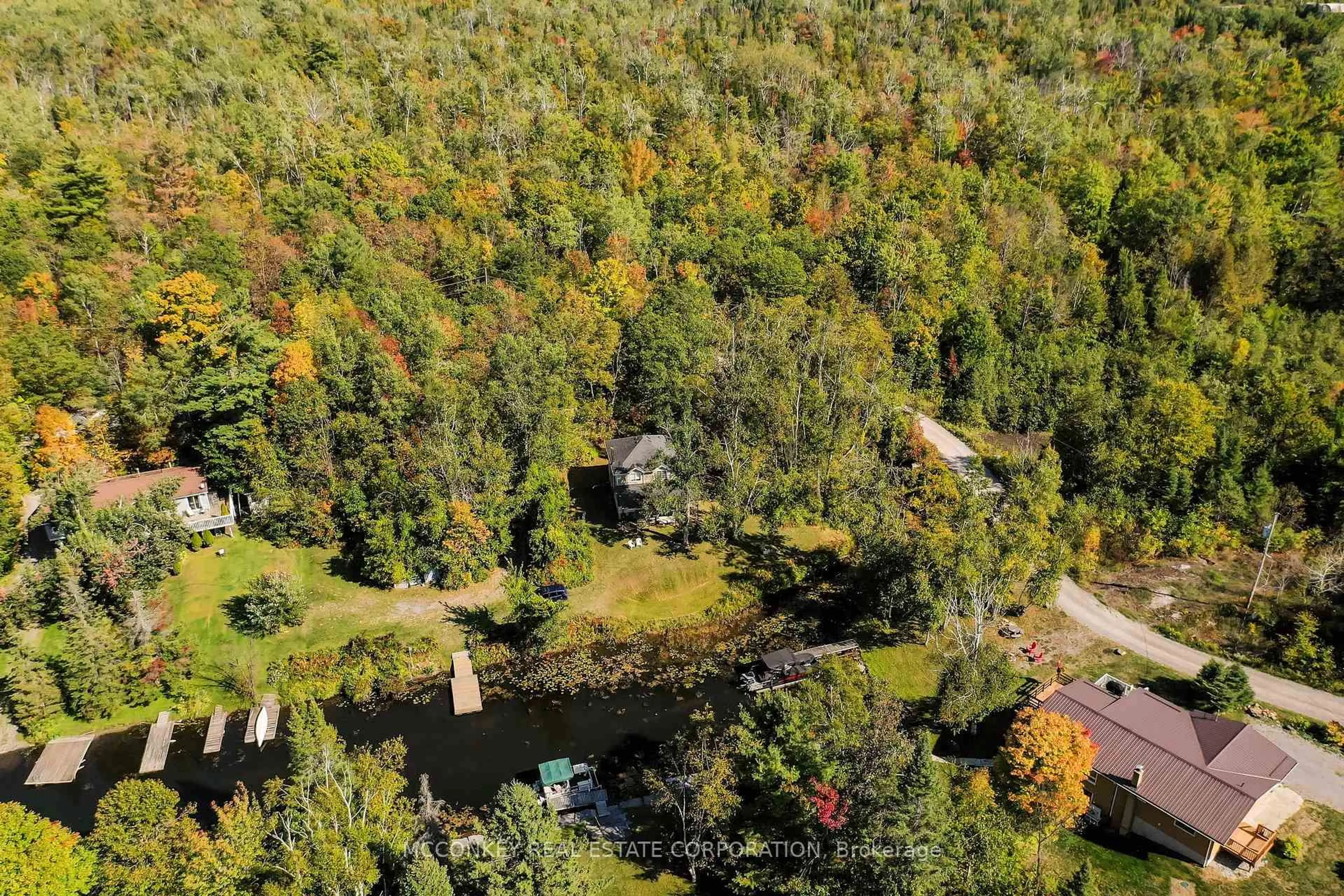 A pic from outside/outdoor area/front of a property/back of a property/a pic from drone, forest/trees view for 2370 Julia Shore Rd, Douro-Dummer Ontario K0L 2H0