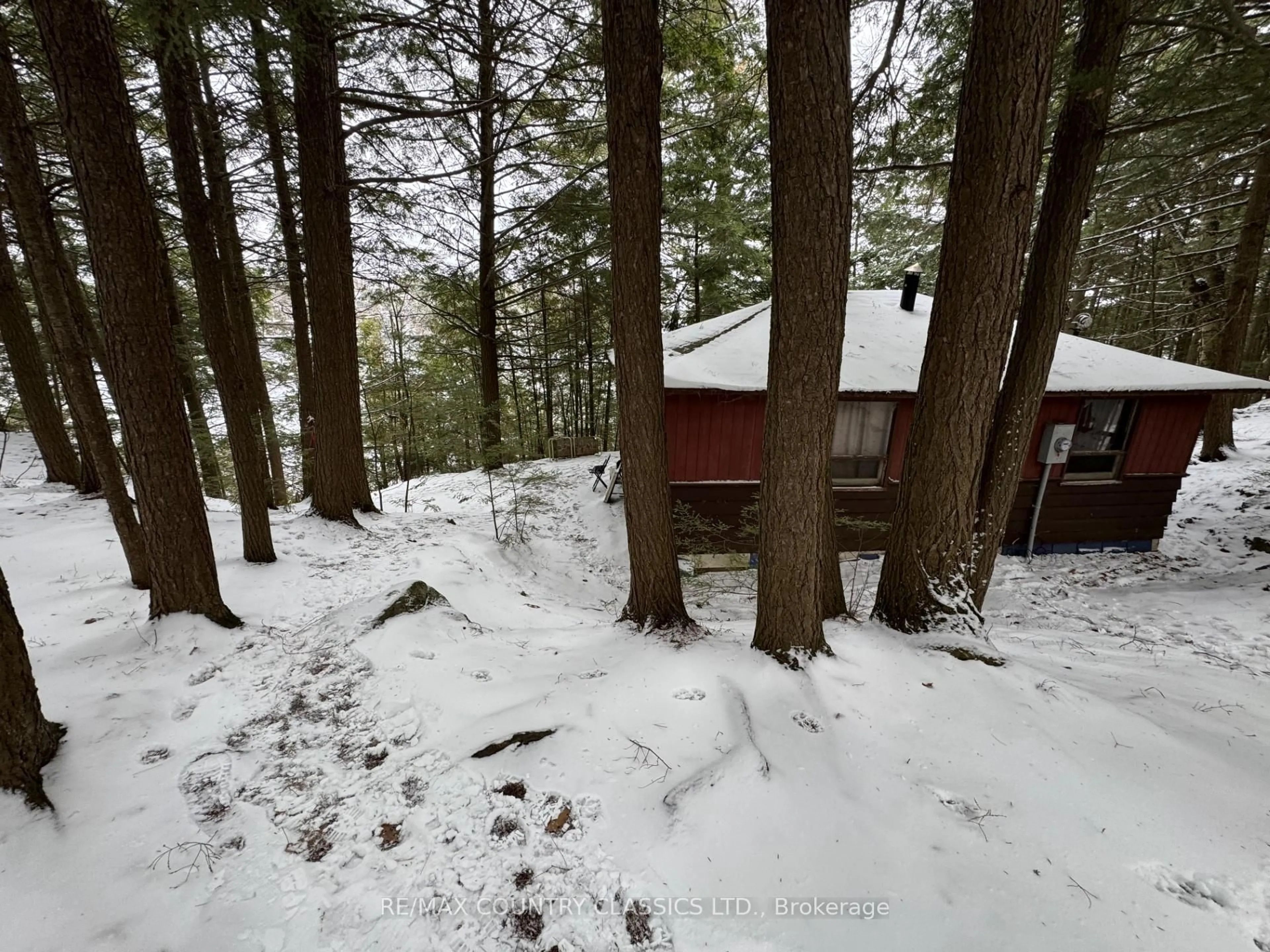 Shed for 34 Kingfisher Lane, North Kawartha Ontario K0L 1A0