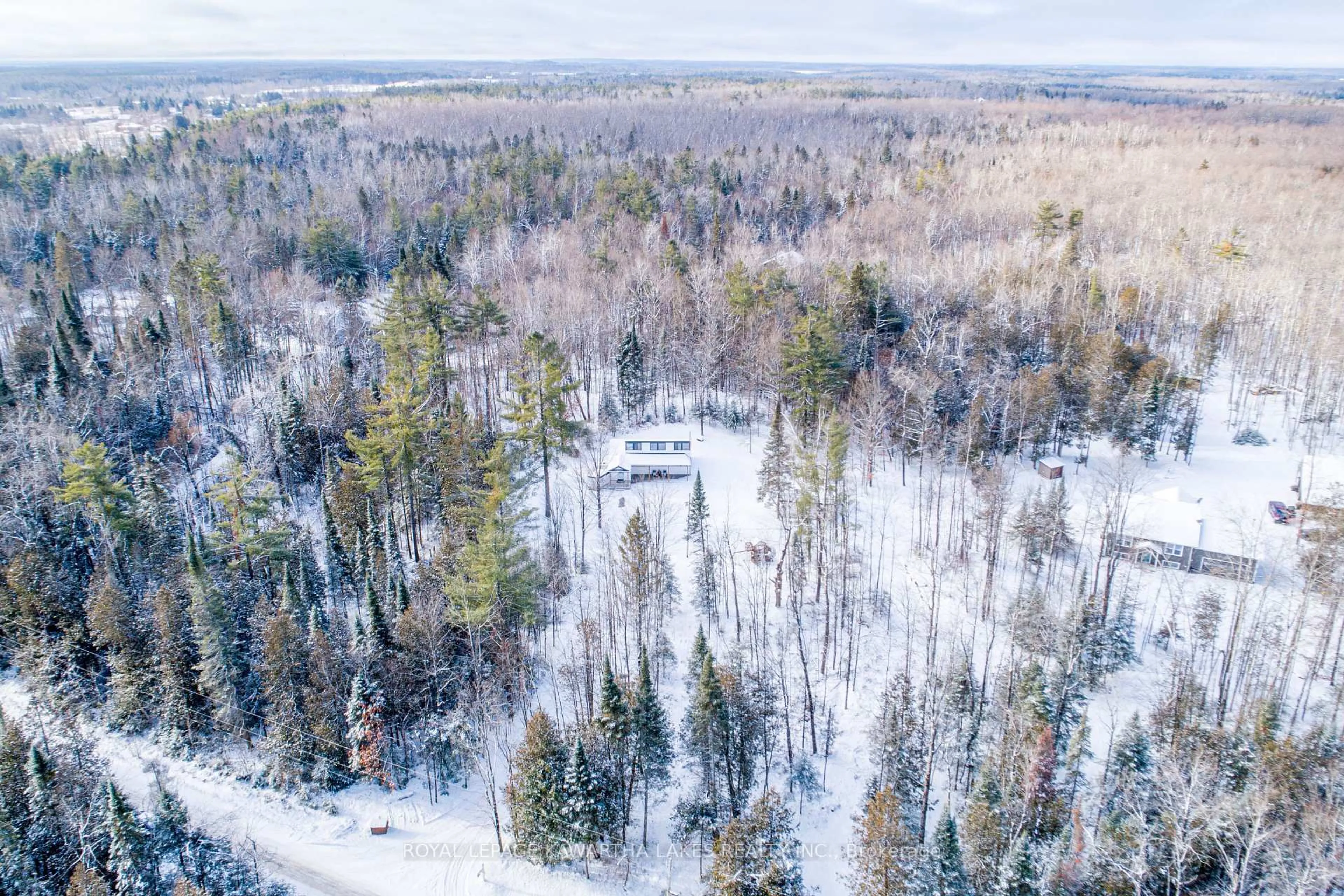 A pic from outside/outdoor area/front of a property/back of a property/a pic from drone, forest/trees view for 57 Ferguson Rd, Kawartha Lakes Ontario K0M 2B0