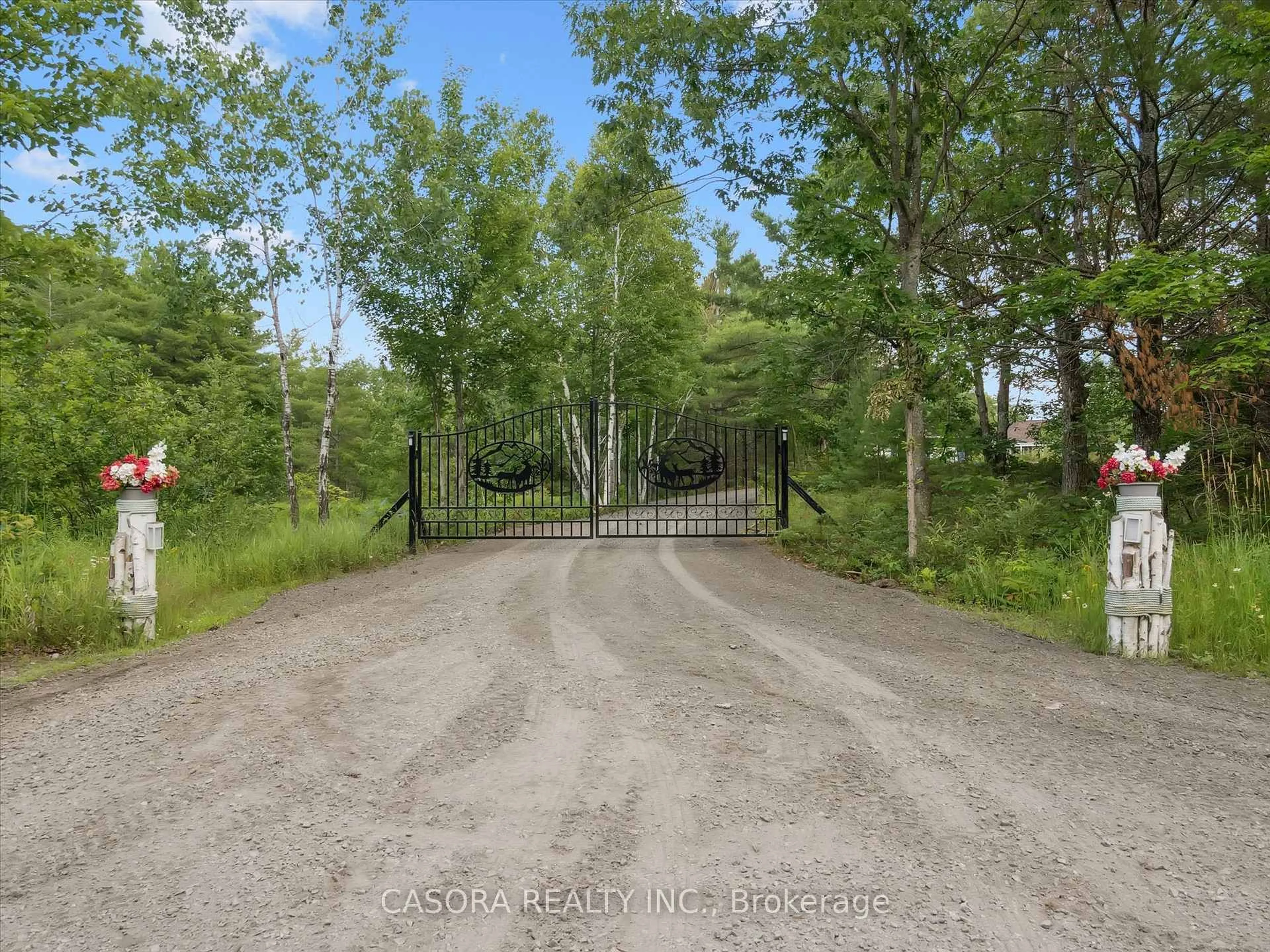 A pic from outside/outdoor area/front of a property/back of a property/a pic from drone, forest/trees view for 891 Peninsula Rd, Gravenhurst Ontario P1P 0E2