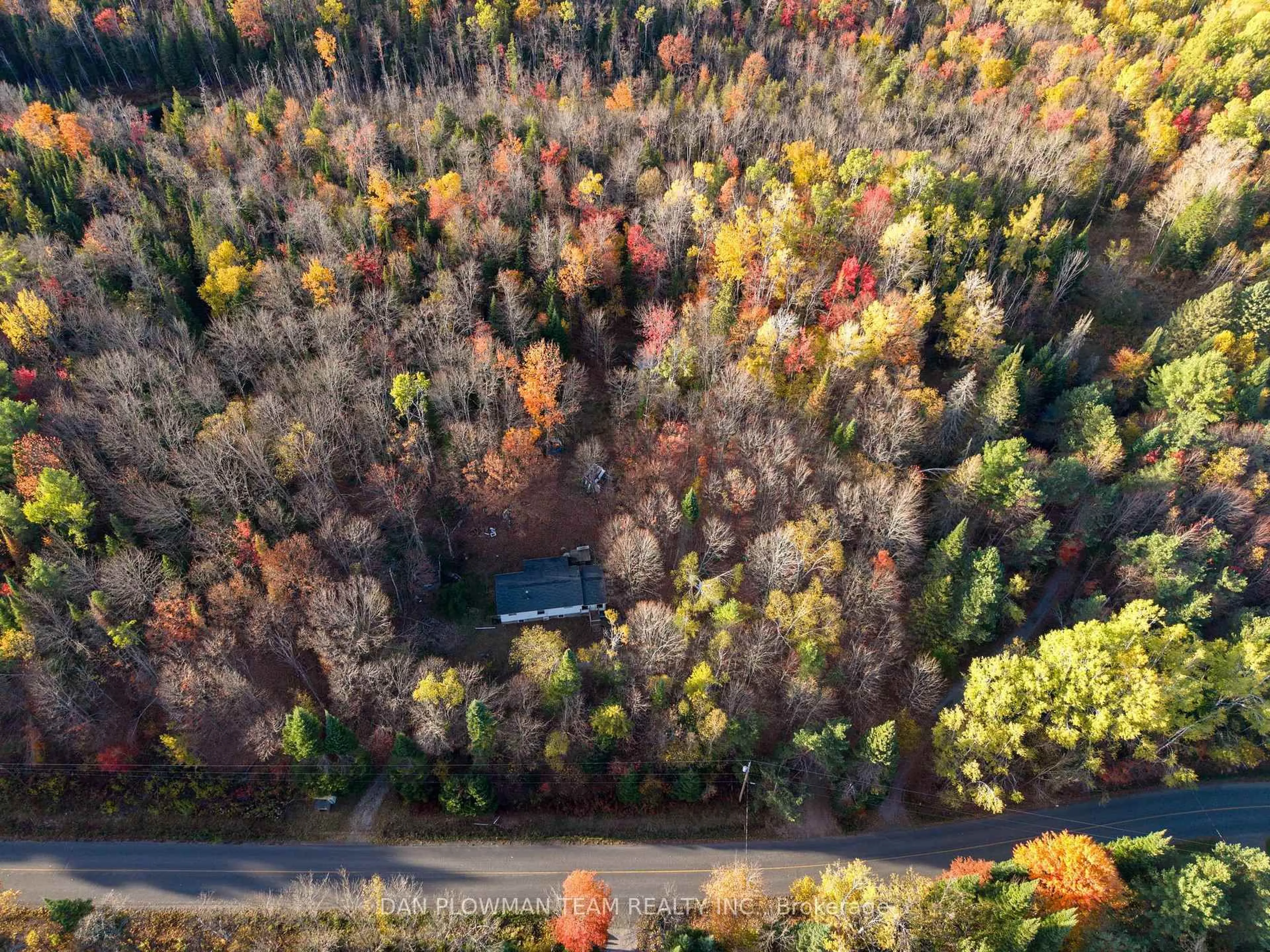 A pic from outside/outdoor area/front of a property/back of a property/a pic from drone, forest/trees view for 1919 Irondale Rd, Highlands East Ontario K0M 2A0