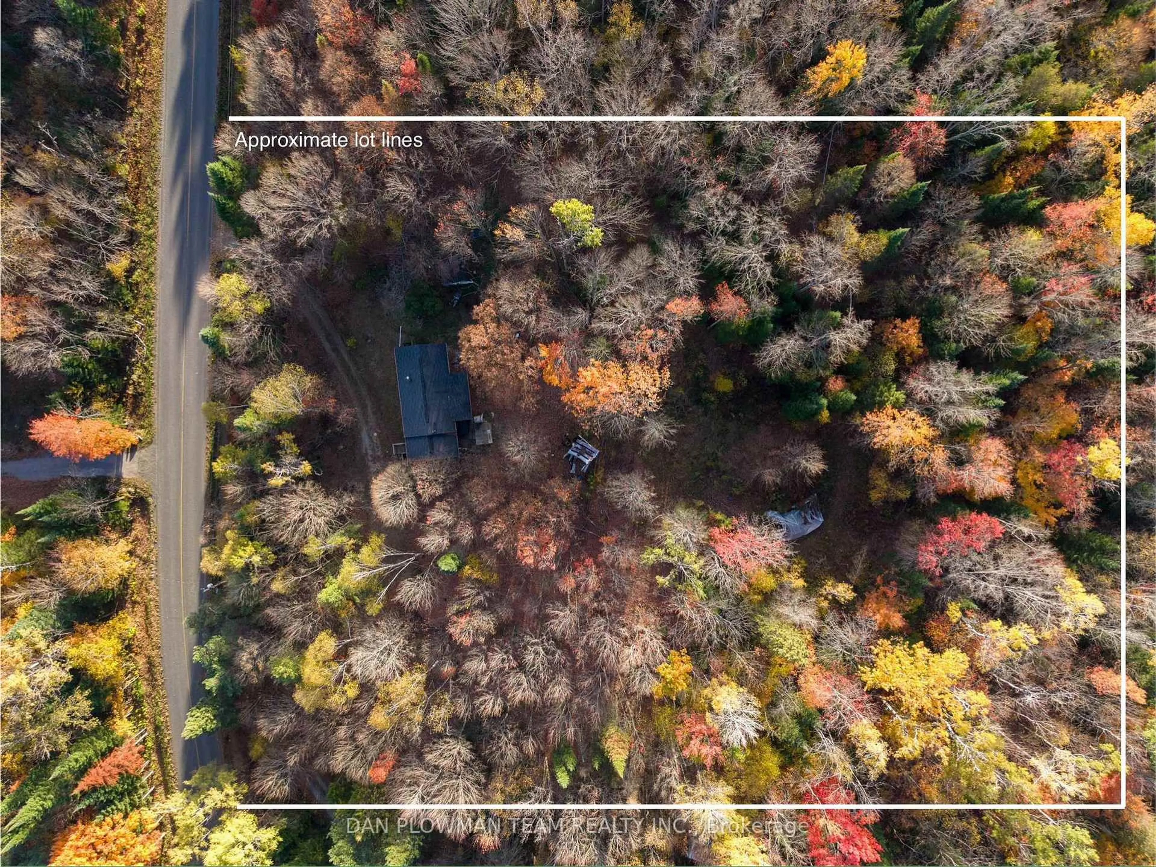 A pic from outside/outdoor area/front of a property/back of a property/a pic from drone, forest/trees view for 1919 Irondale Rd, Highlands East Ontario K0M 2A0