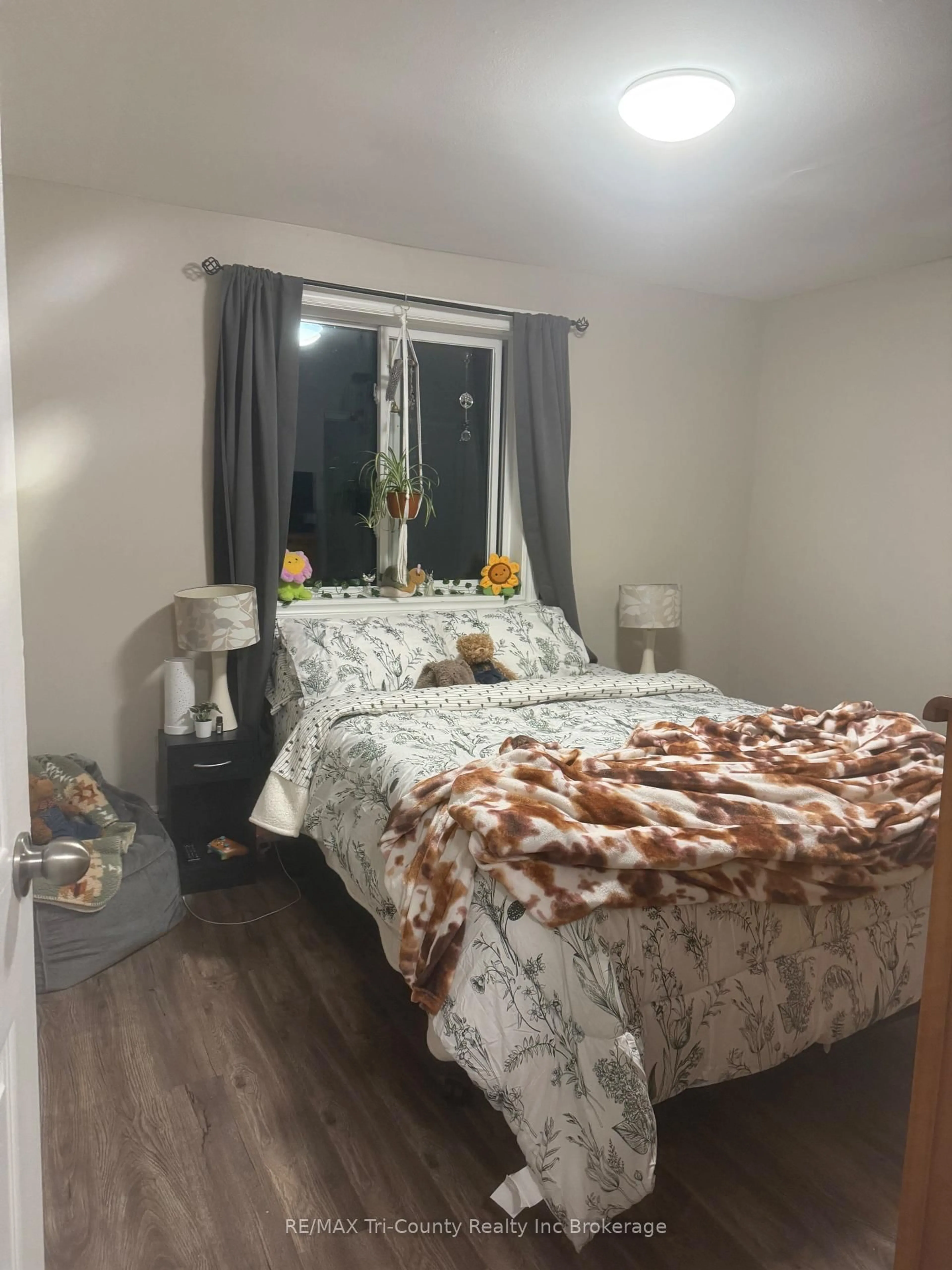 A pic of a room for 191 Lisgar Ave #305, Tillsonburg Ontario N4G 3L5