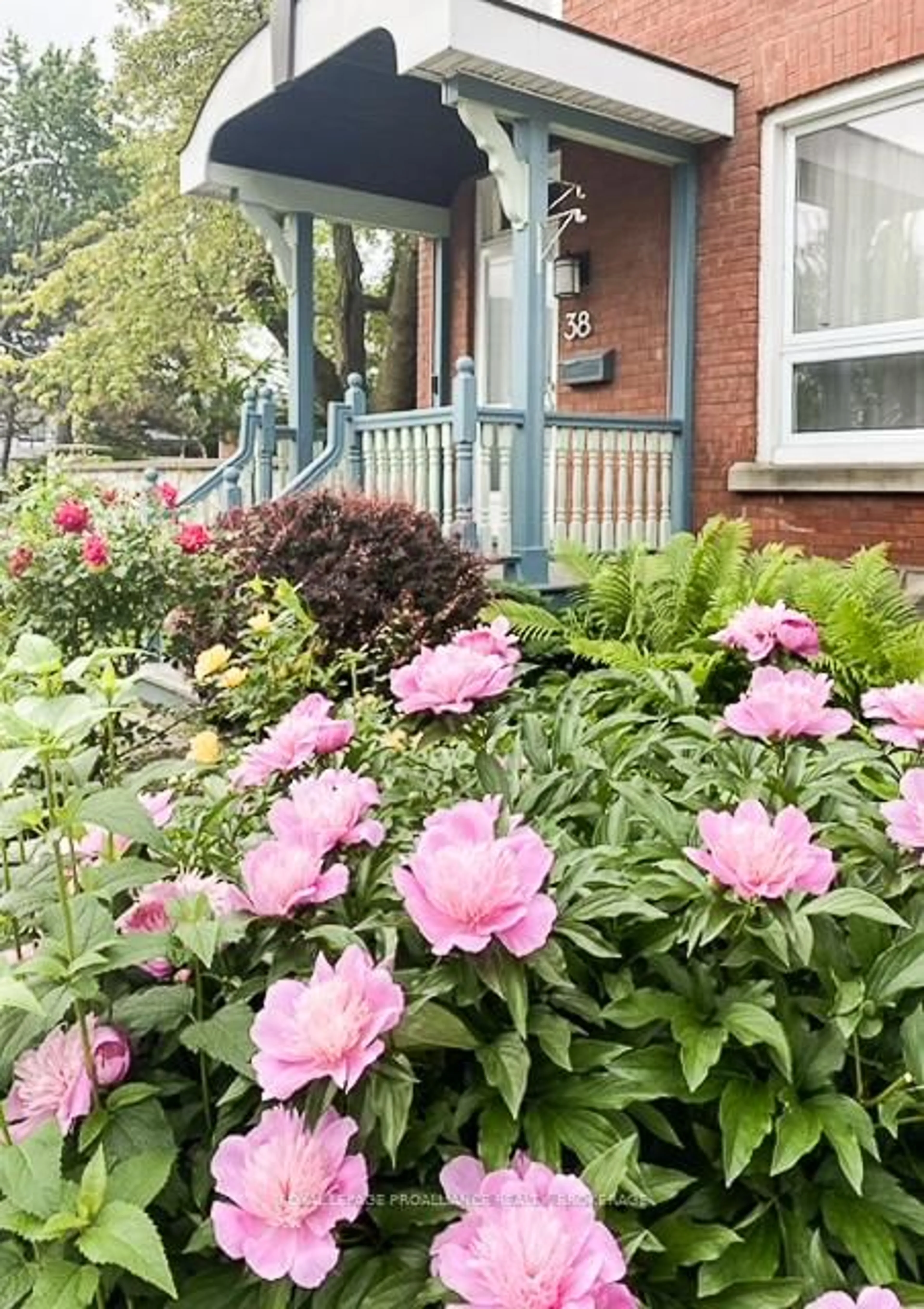 Patio, street for 38 Ordnance St, Kingston Ontario K7K 1G4