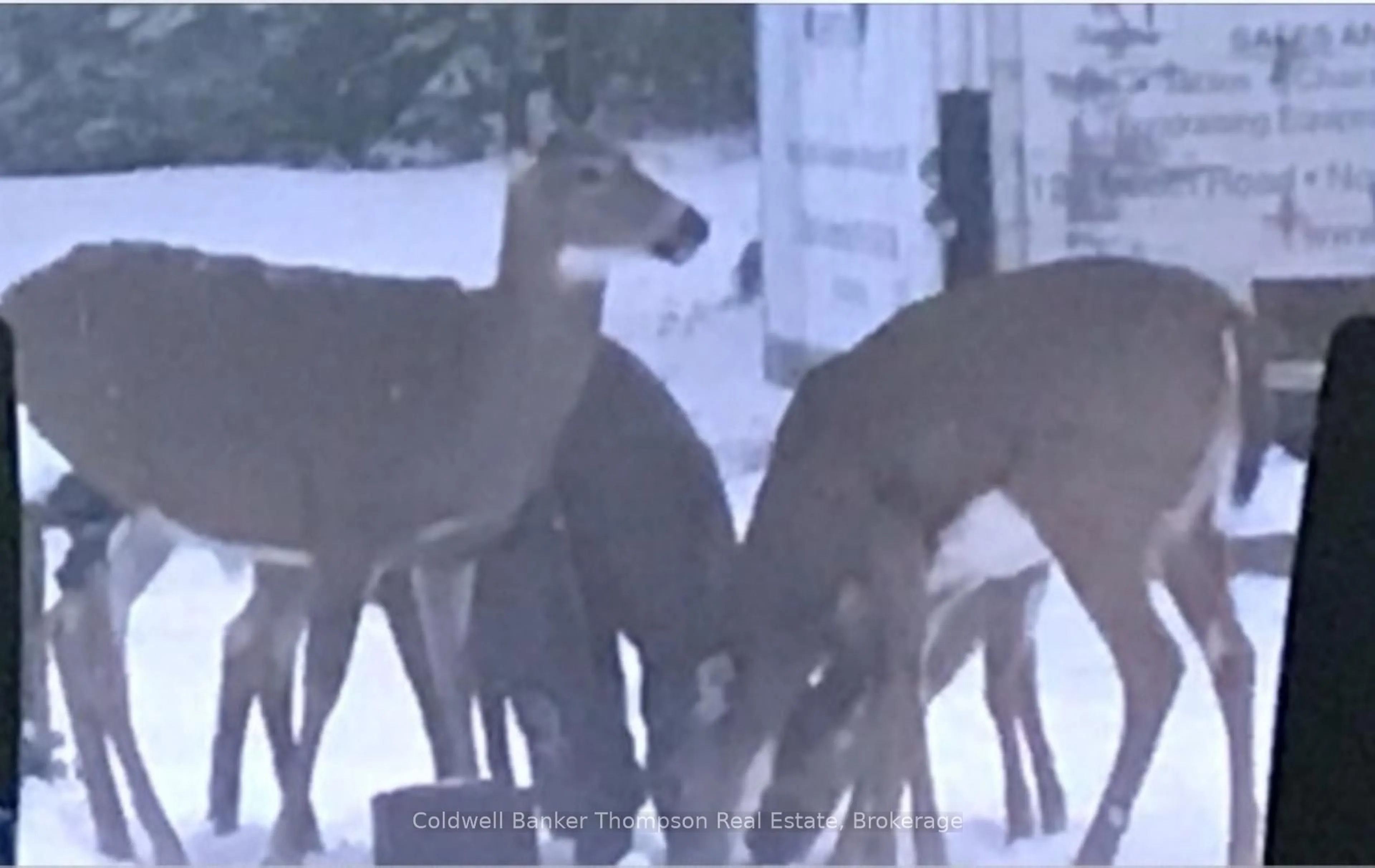 Blurry image for 183 Sandhill Rd, Joly Ontario P0A 1Z0